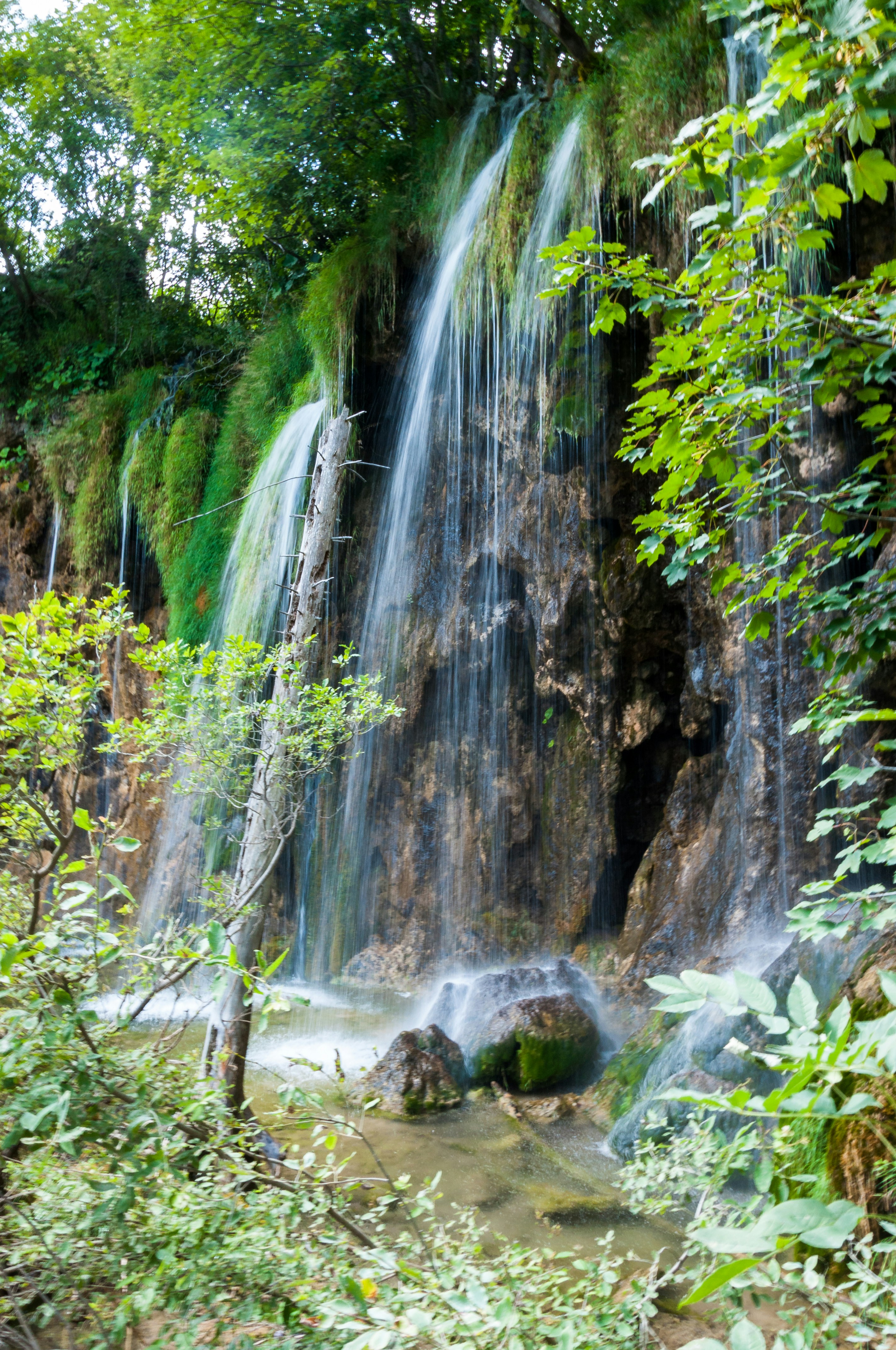 Photo by krzysztof_h