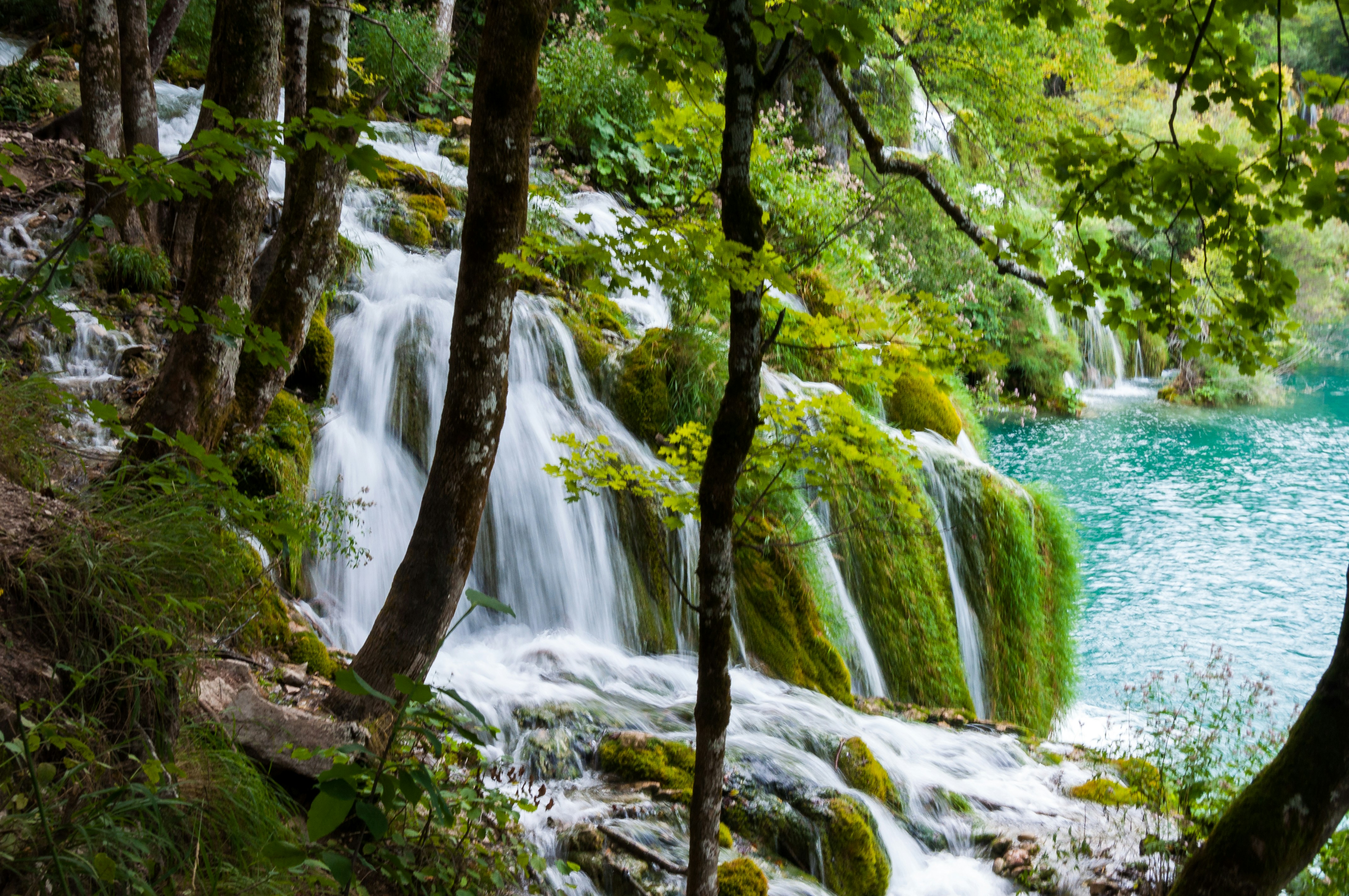 Photo by krzysztof_h