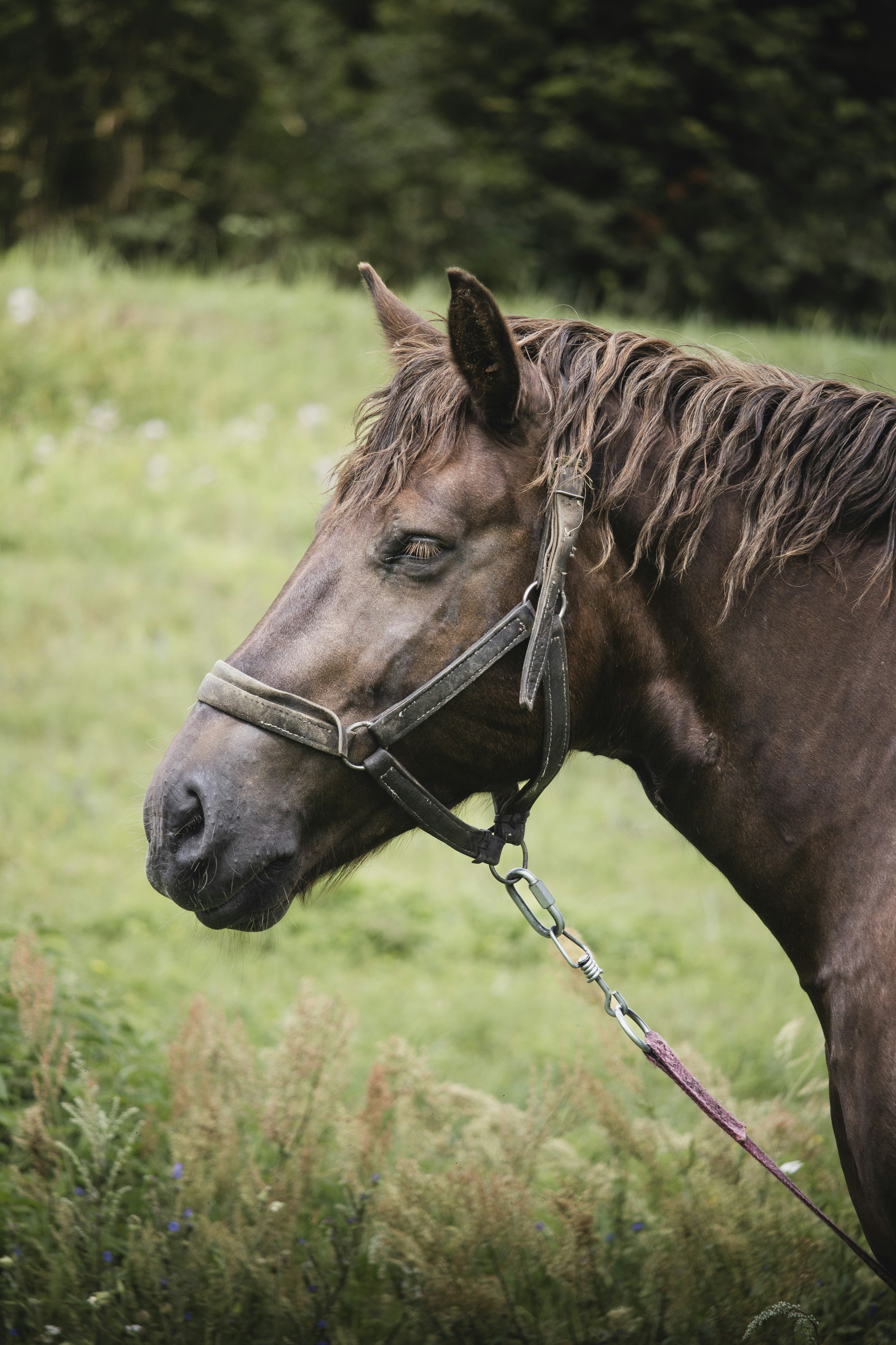 Photo by edgebounder