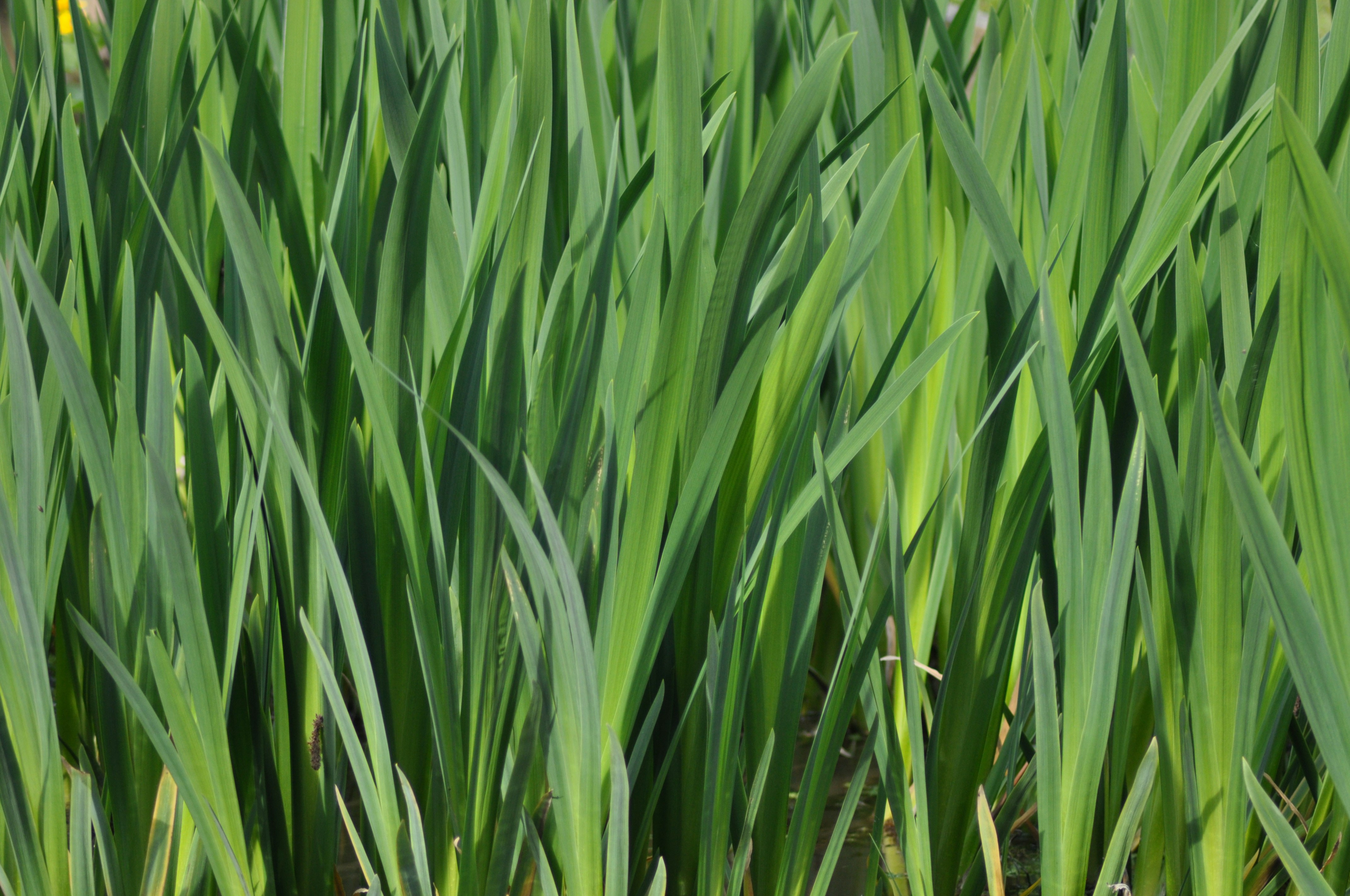 Photo by simonmharmer