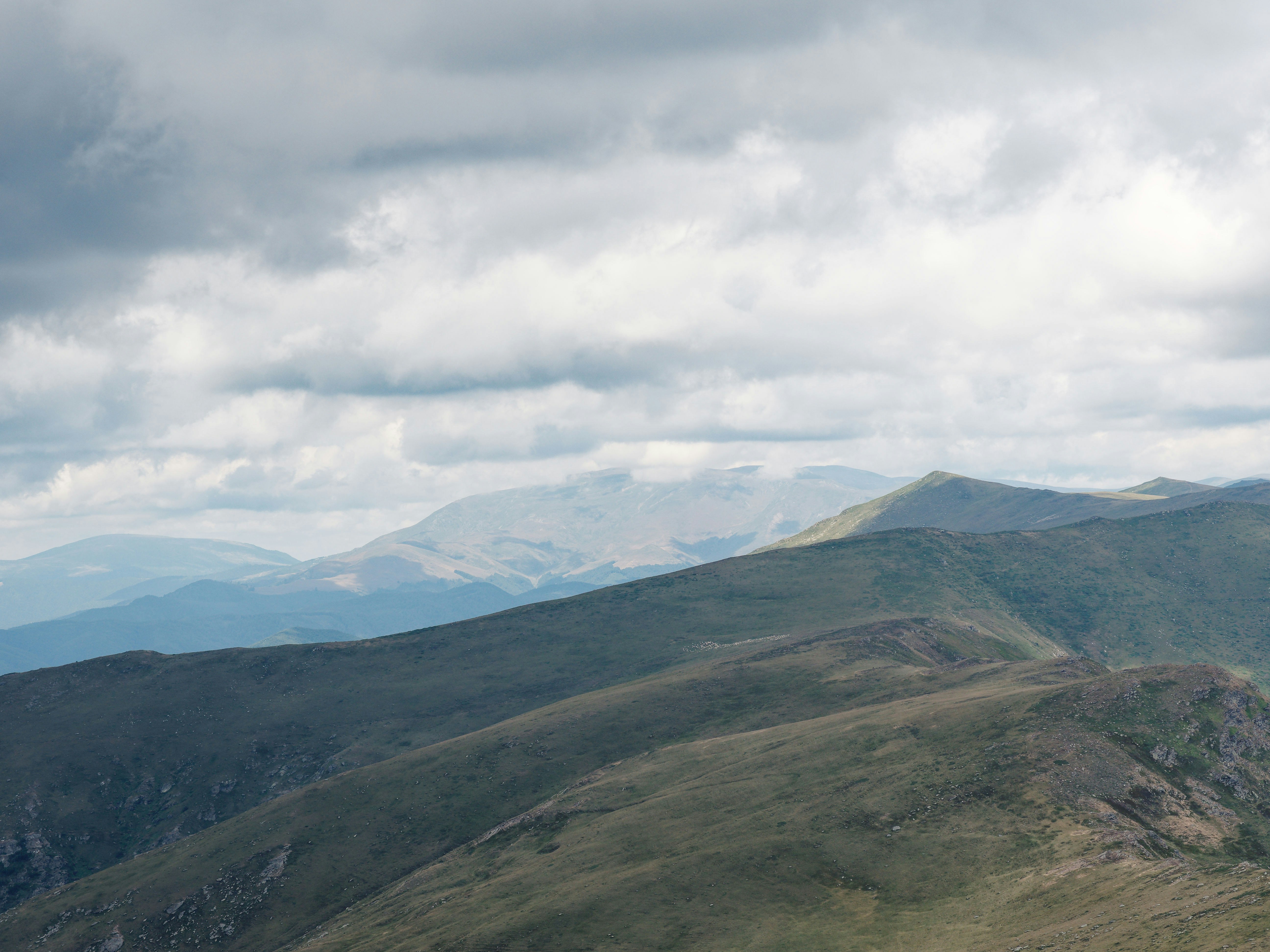 Photo by illes_cristi