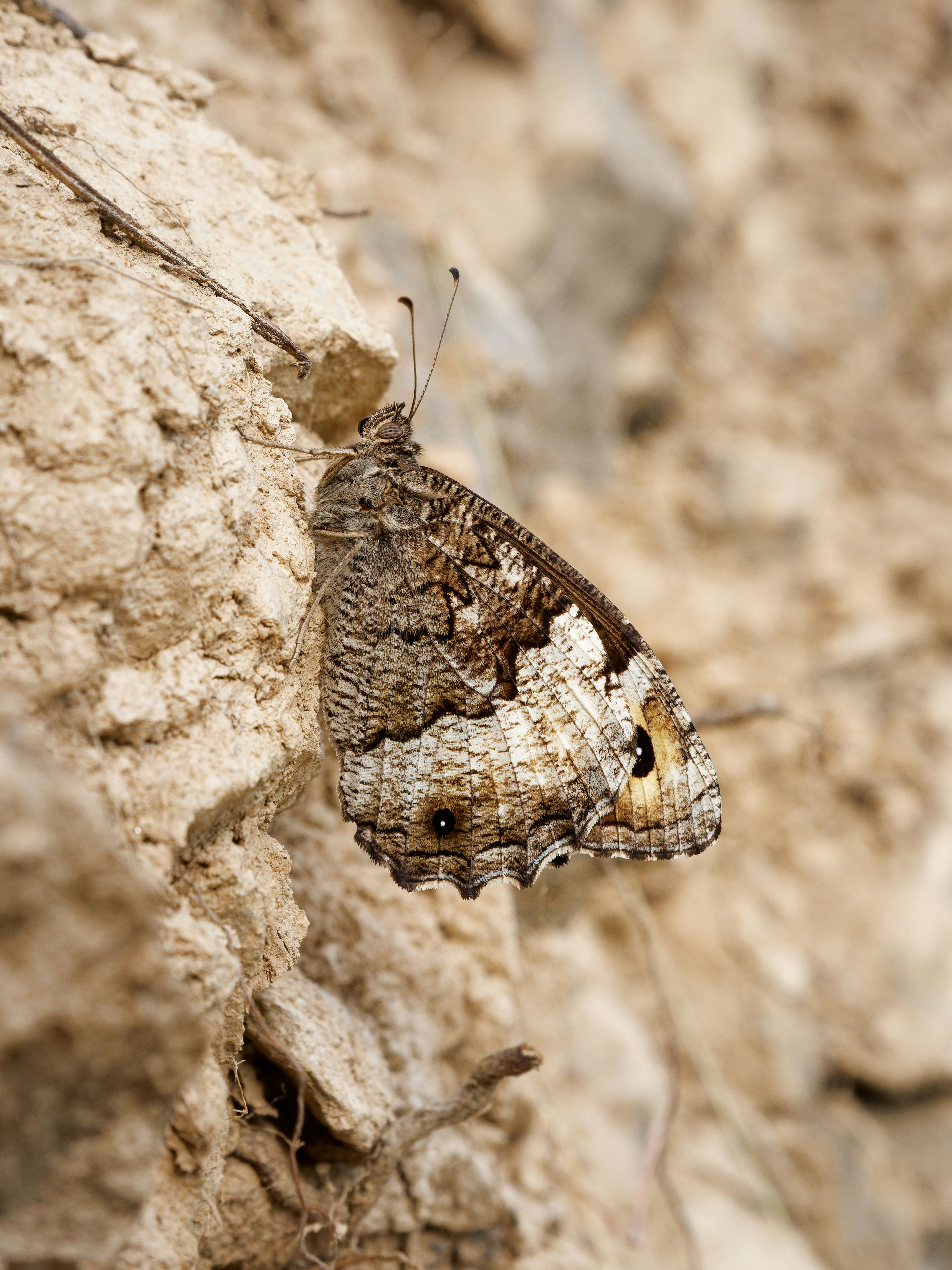 Photo by illes_cristi