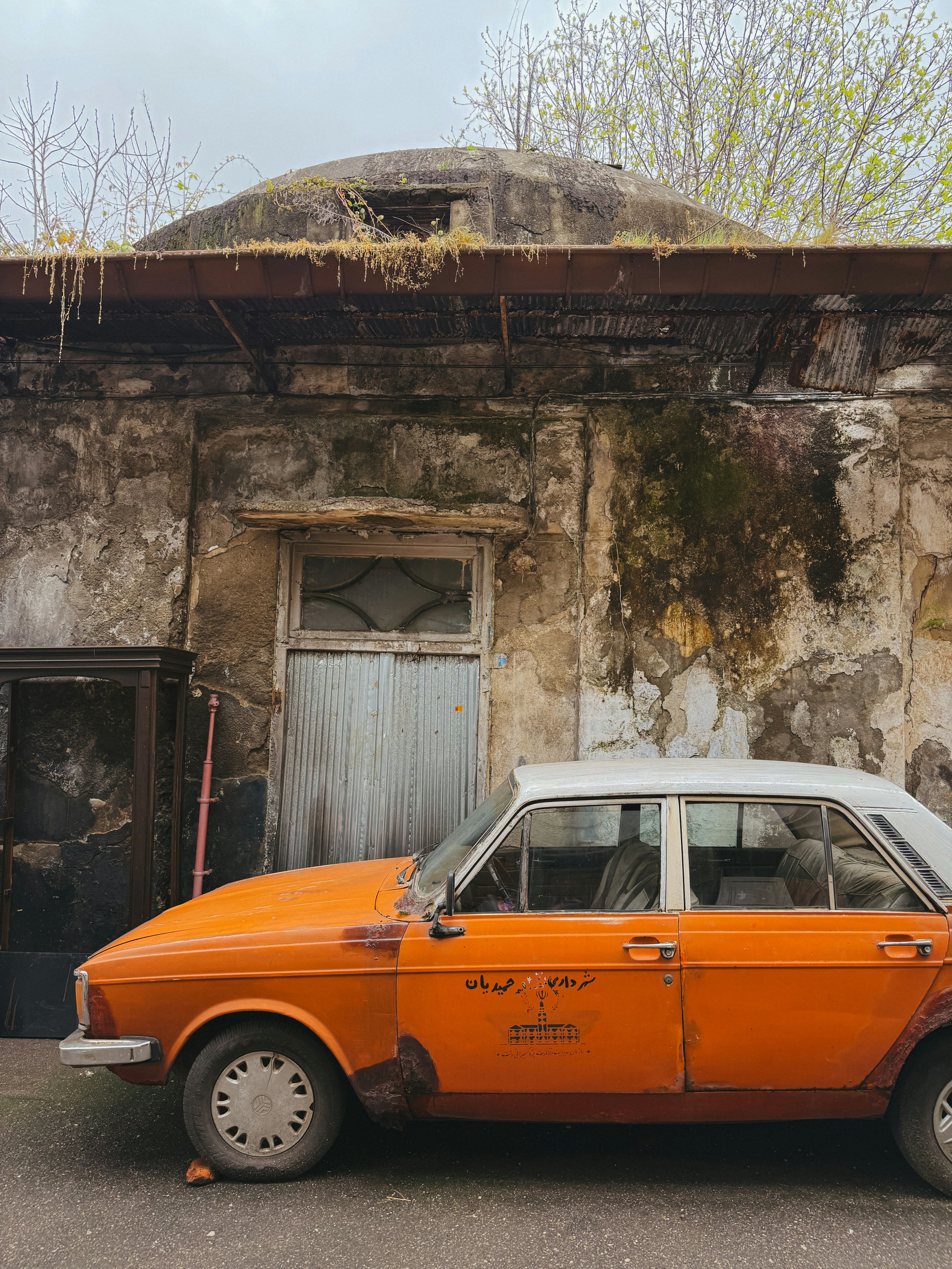 Photo by fargol_khoshbin