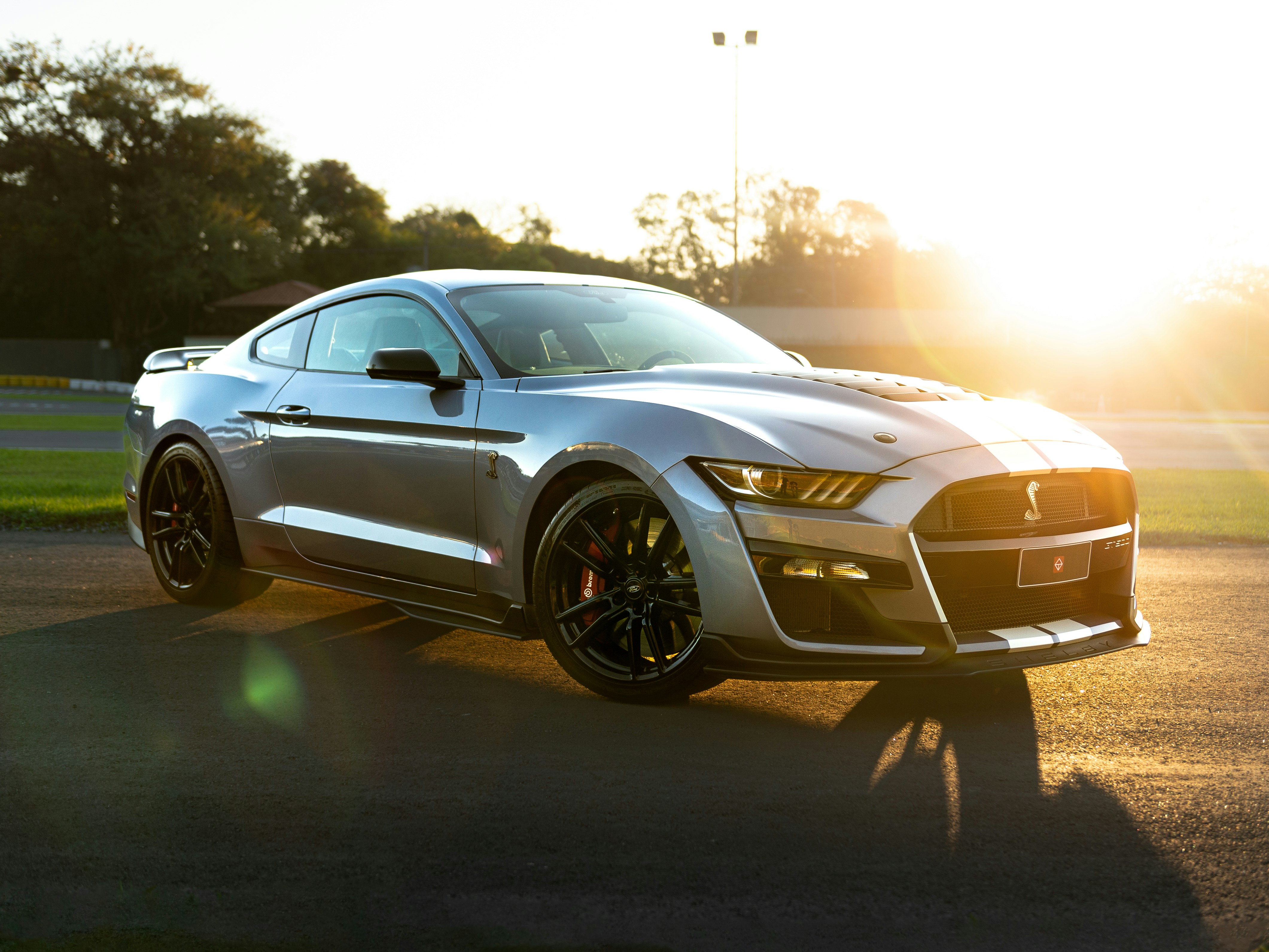 Mustang Plateado Hd