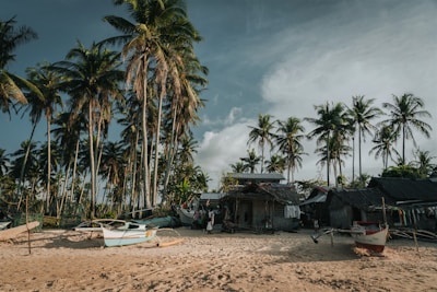 Tropical beach with palm trees and boats.