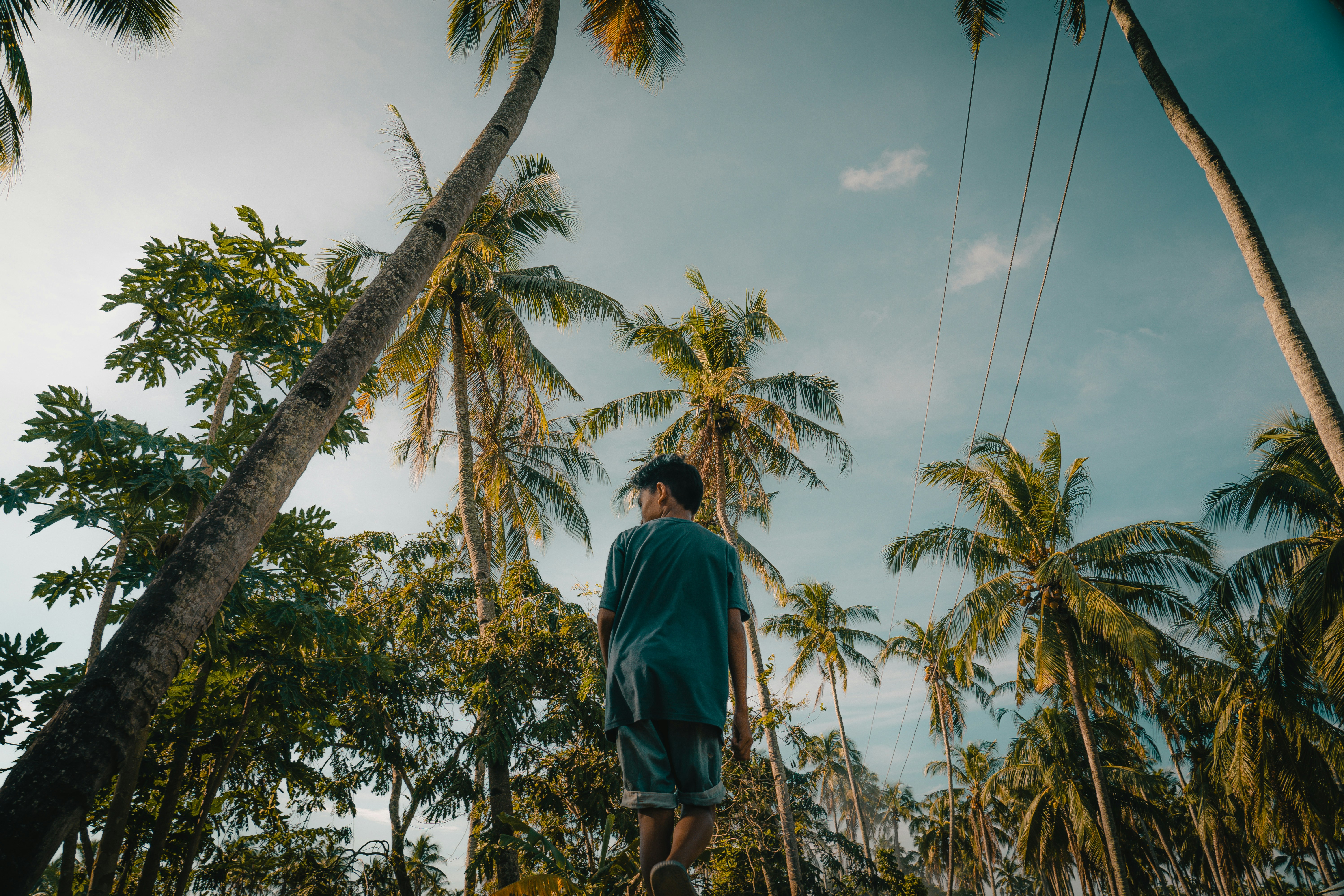 Photo by matthewryanstephenson