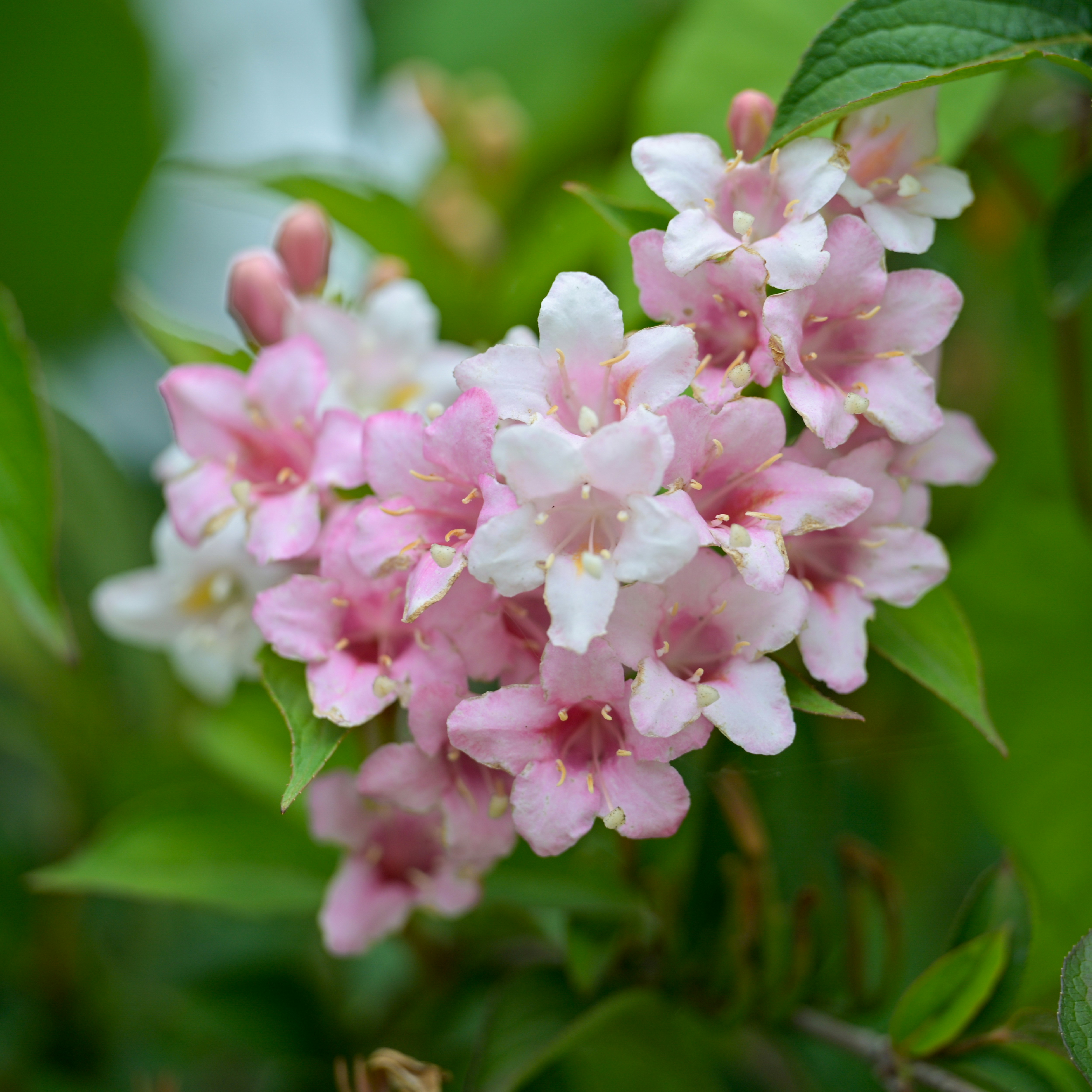 Photo by jonathankslim