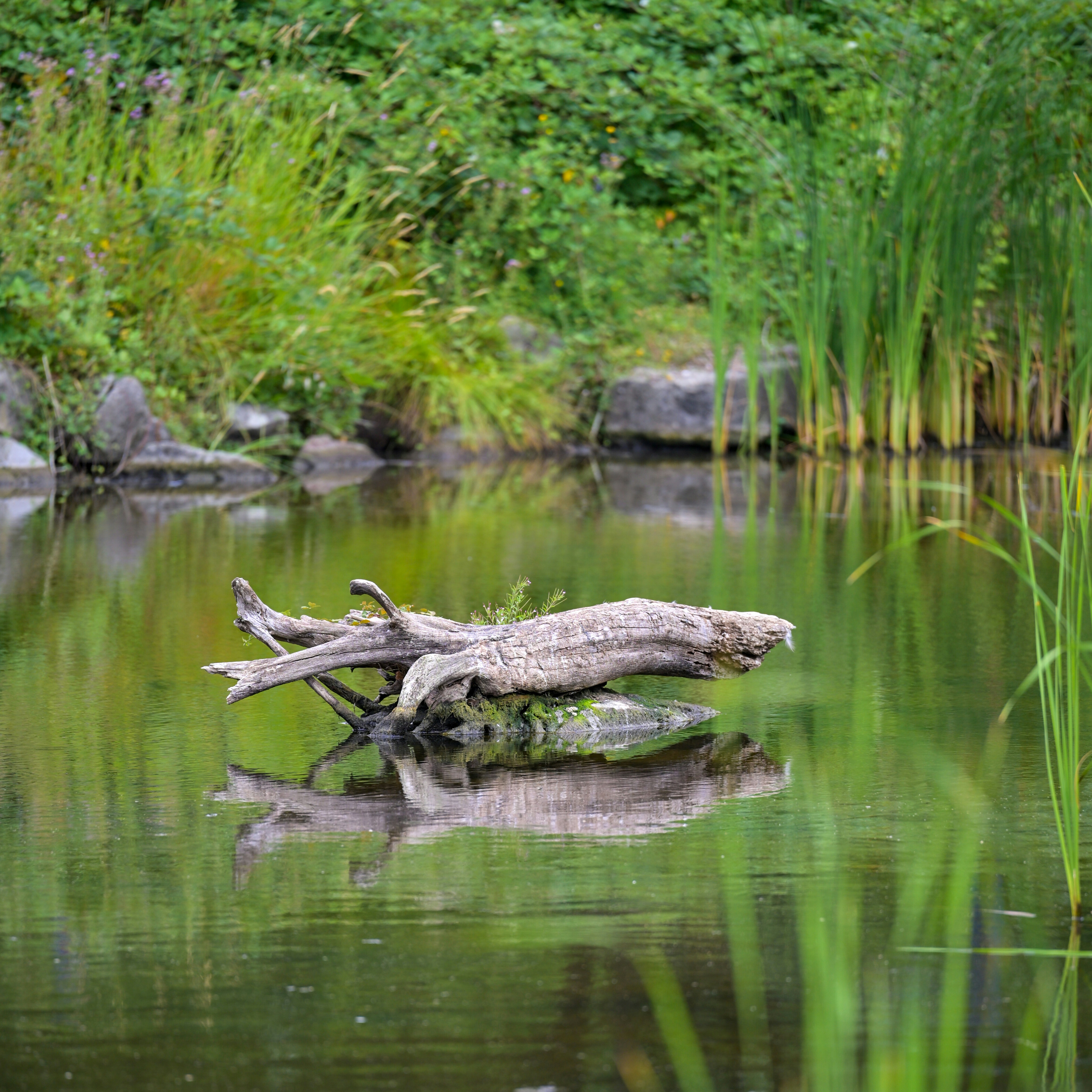 Photo by jonathankslim