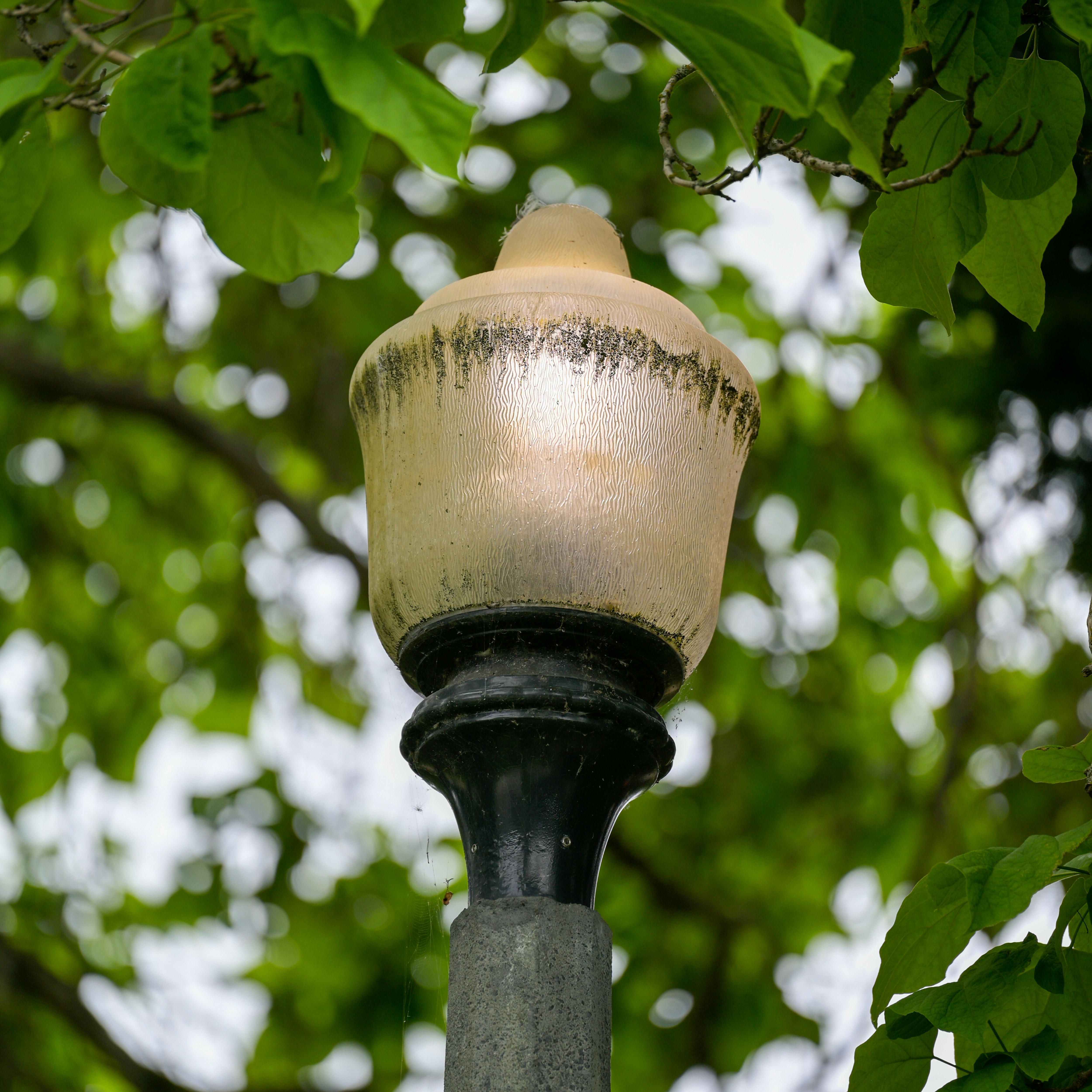 Photo by jonathankslim