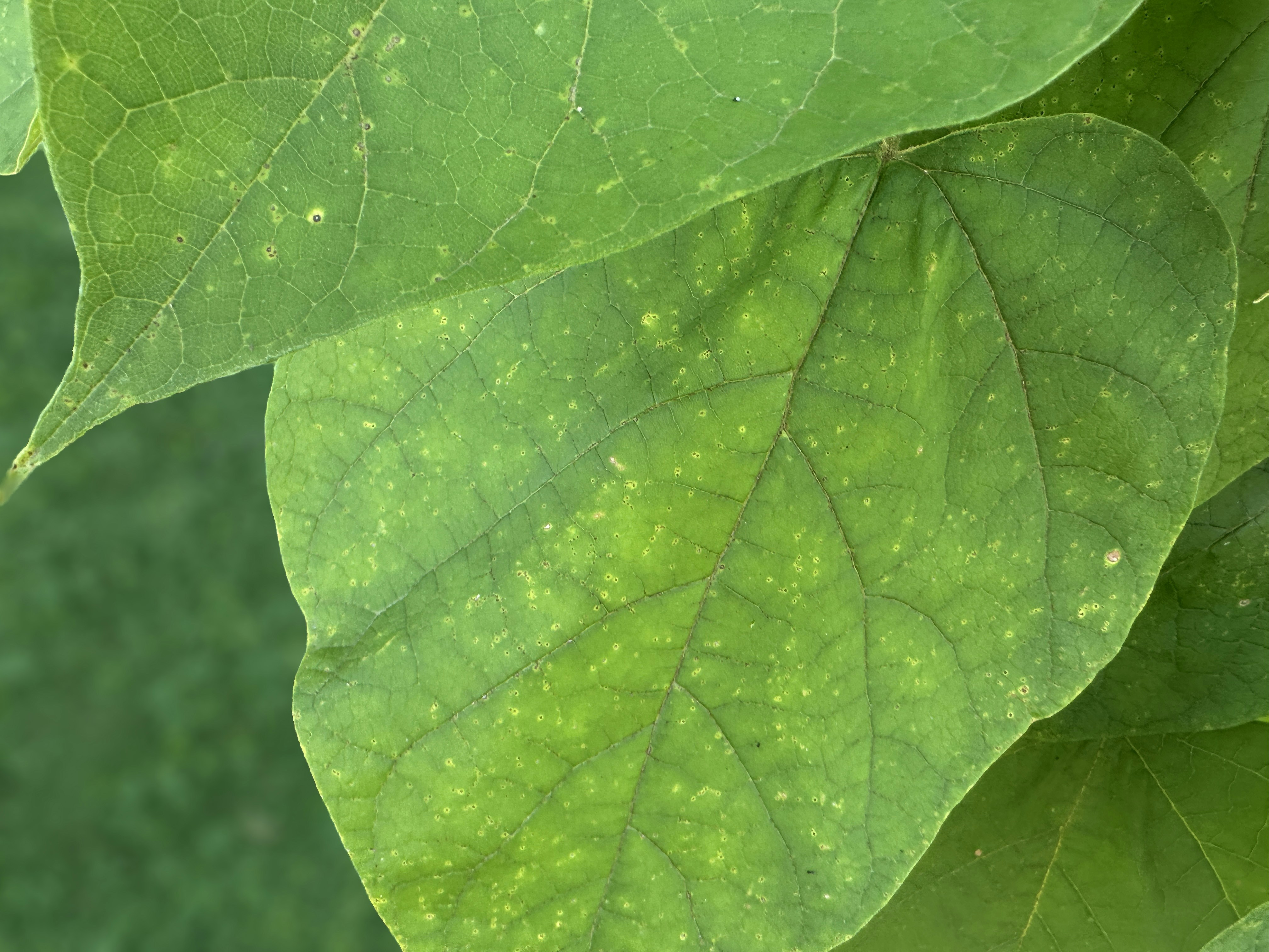 David Moyle (@davdmoyle) | Komunitas Foto Unsplash