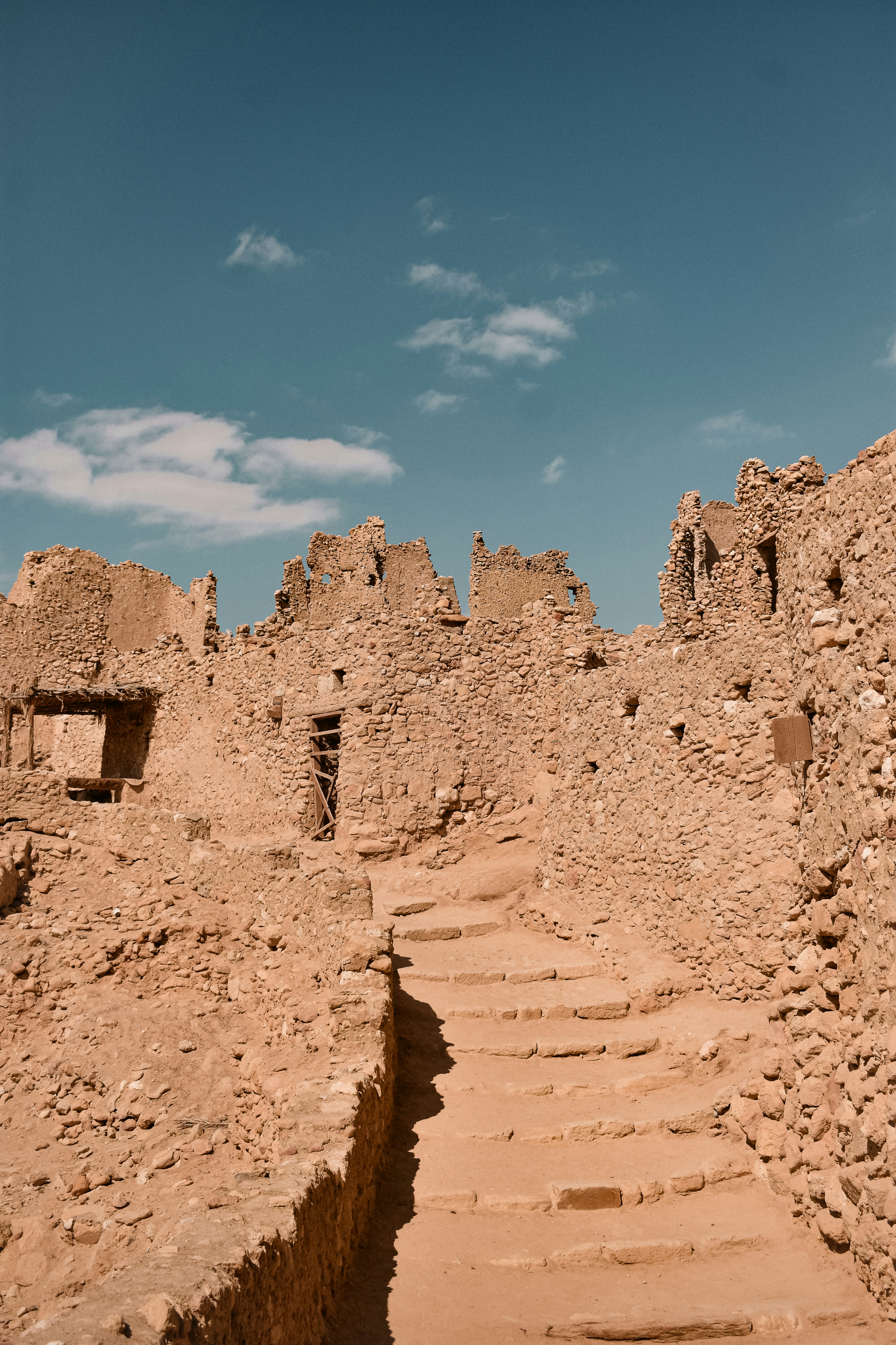 Photo by nourhan_m_sabek