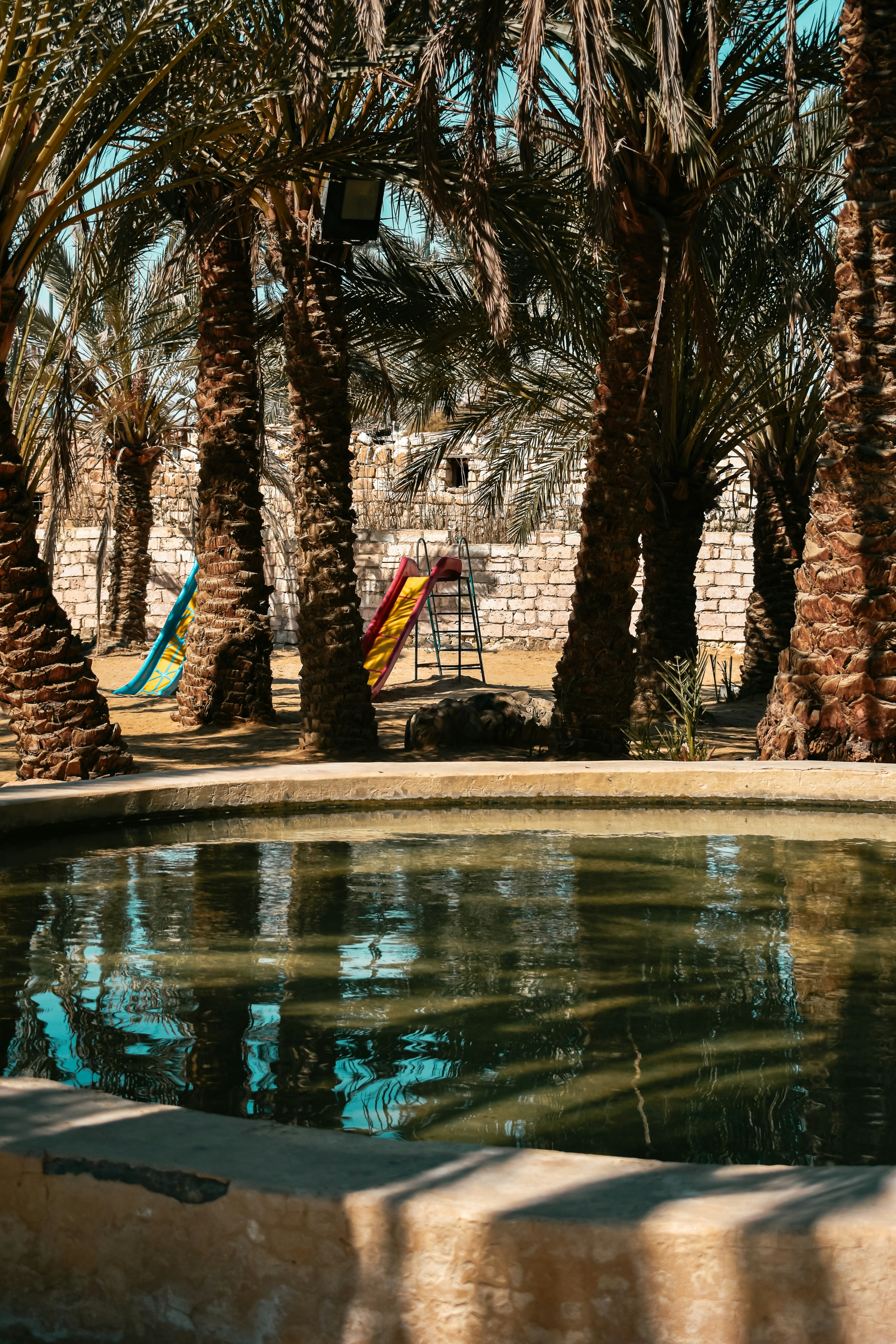 Photo by nourhan_m_sabek