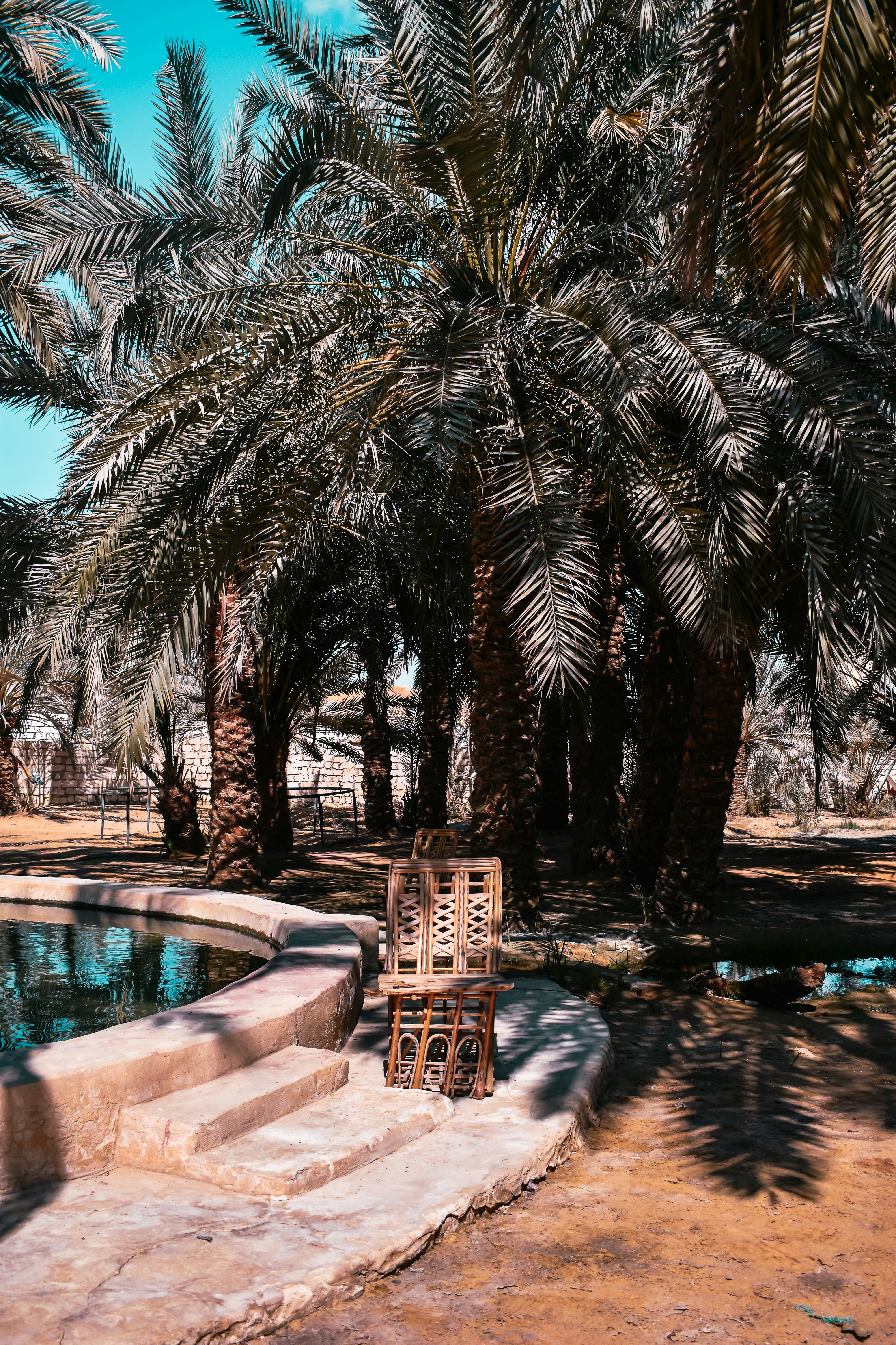 Photo by nourhan_m_sabek