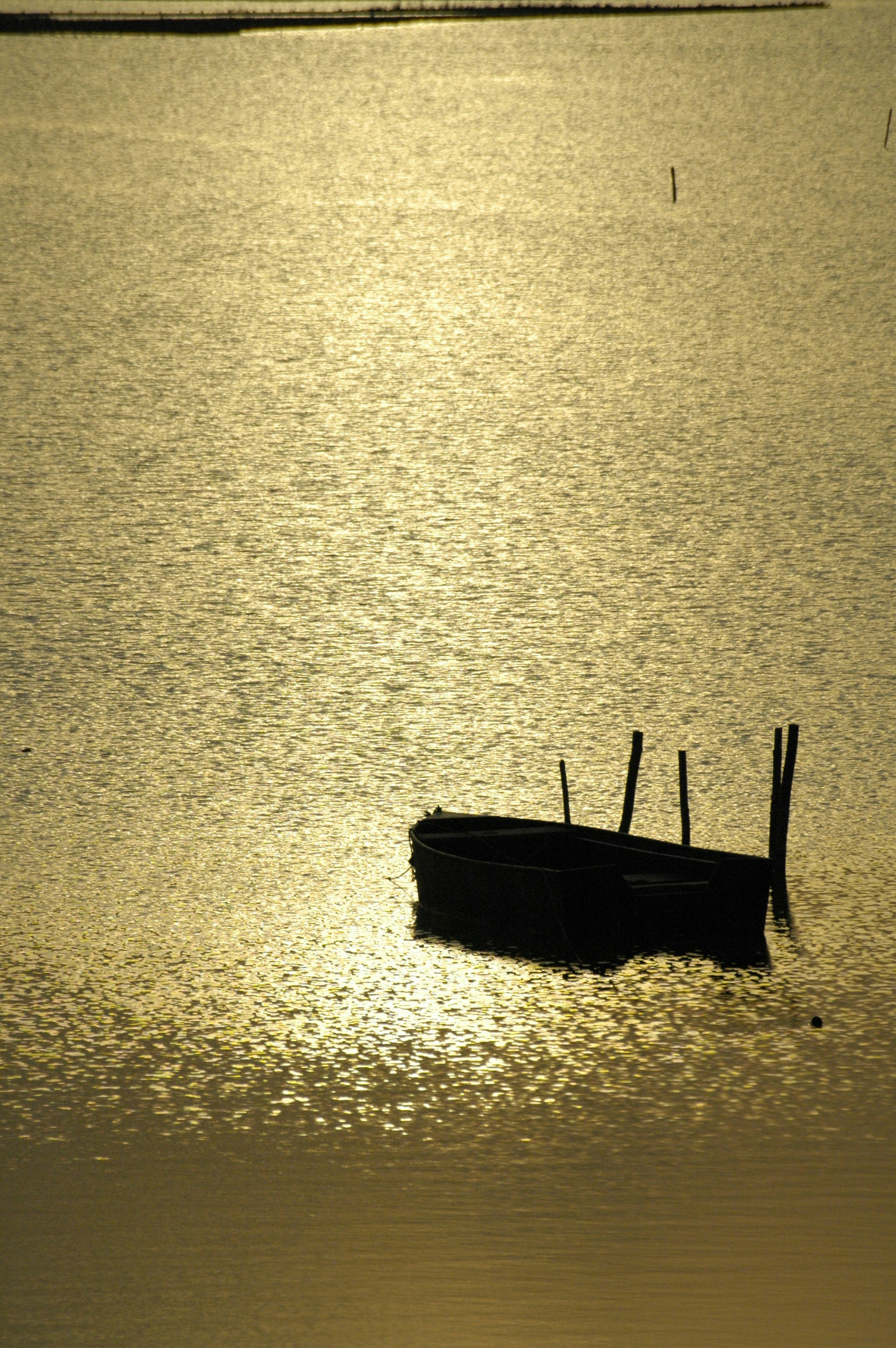 Photo by lamartine55