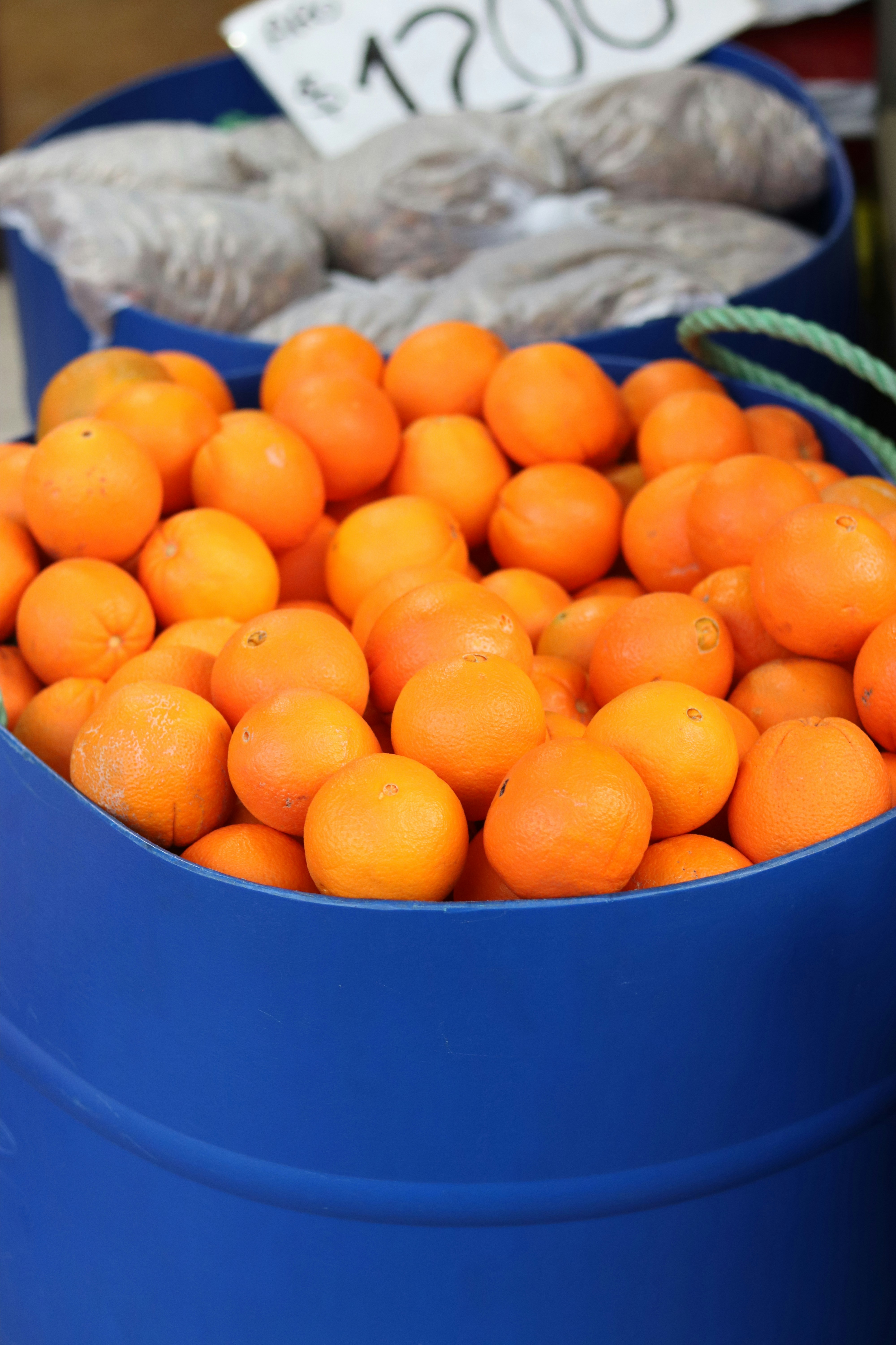 Photo by rodrigotypo