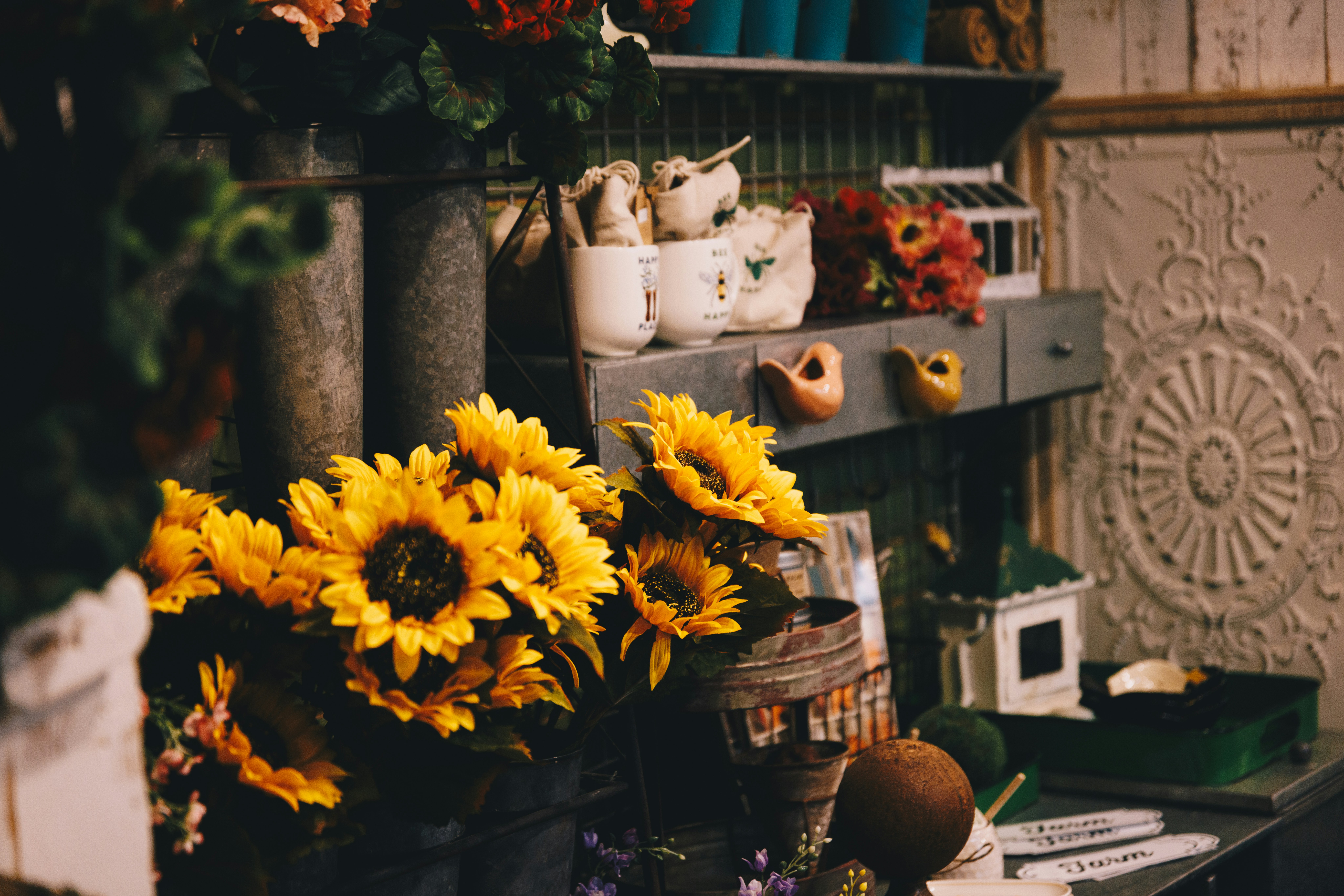 Photo by storywright