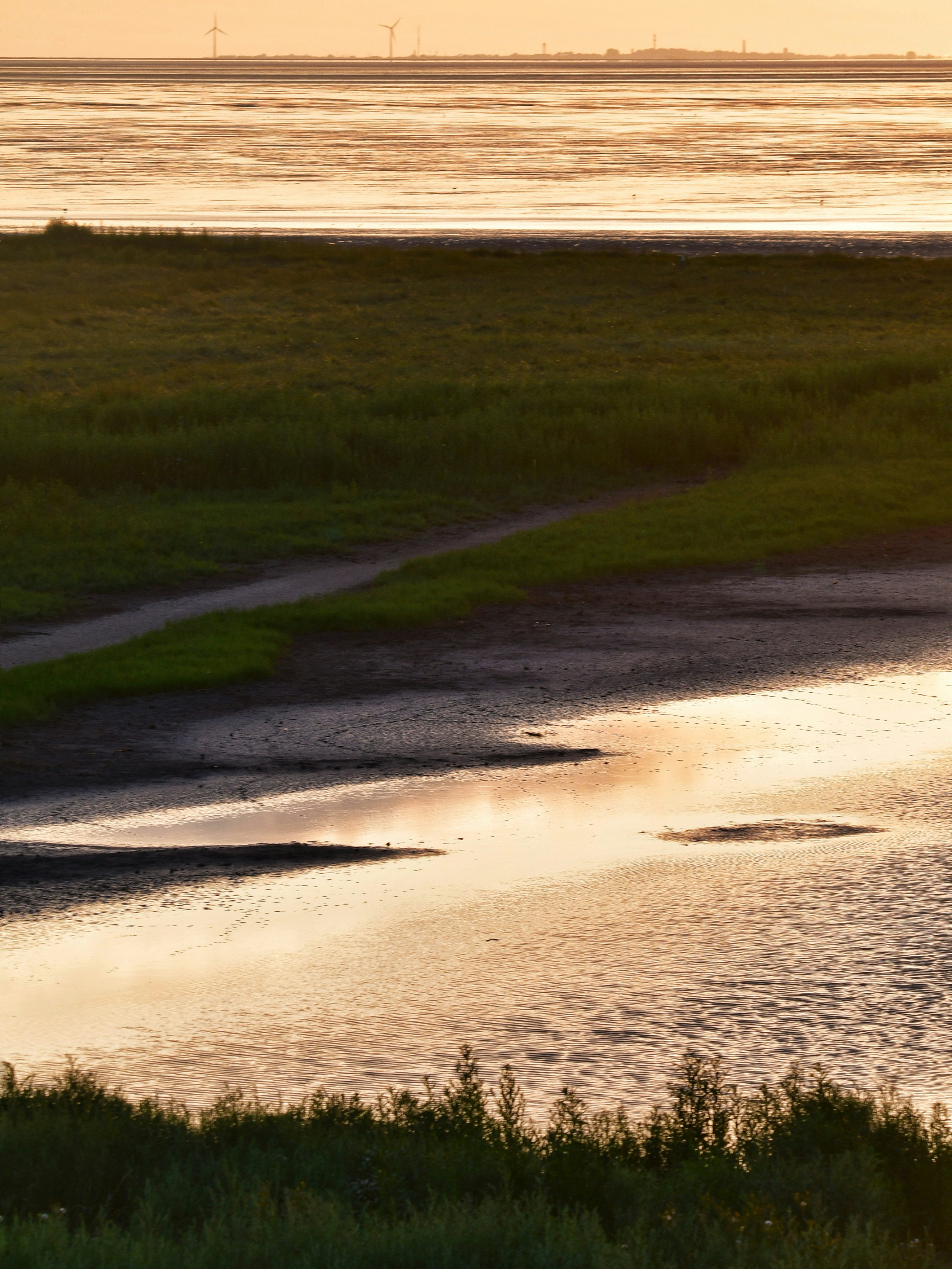 Photo by pedrino5_official