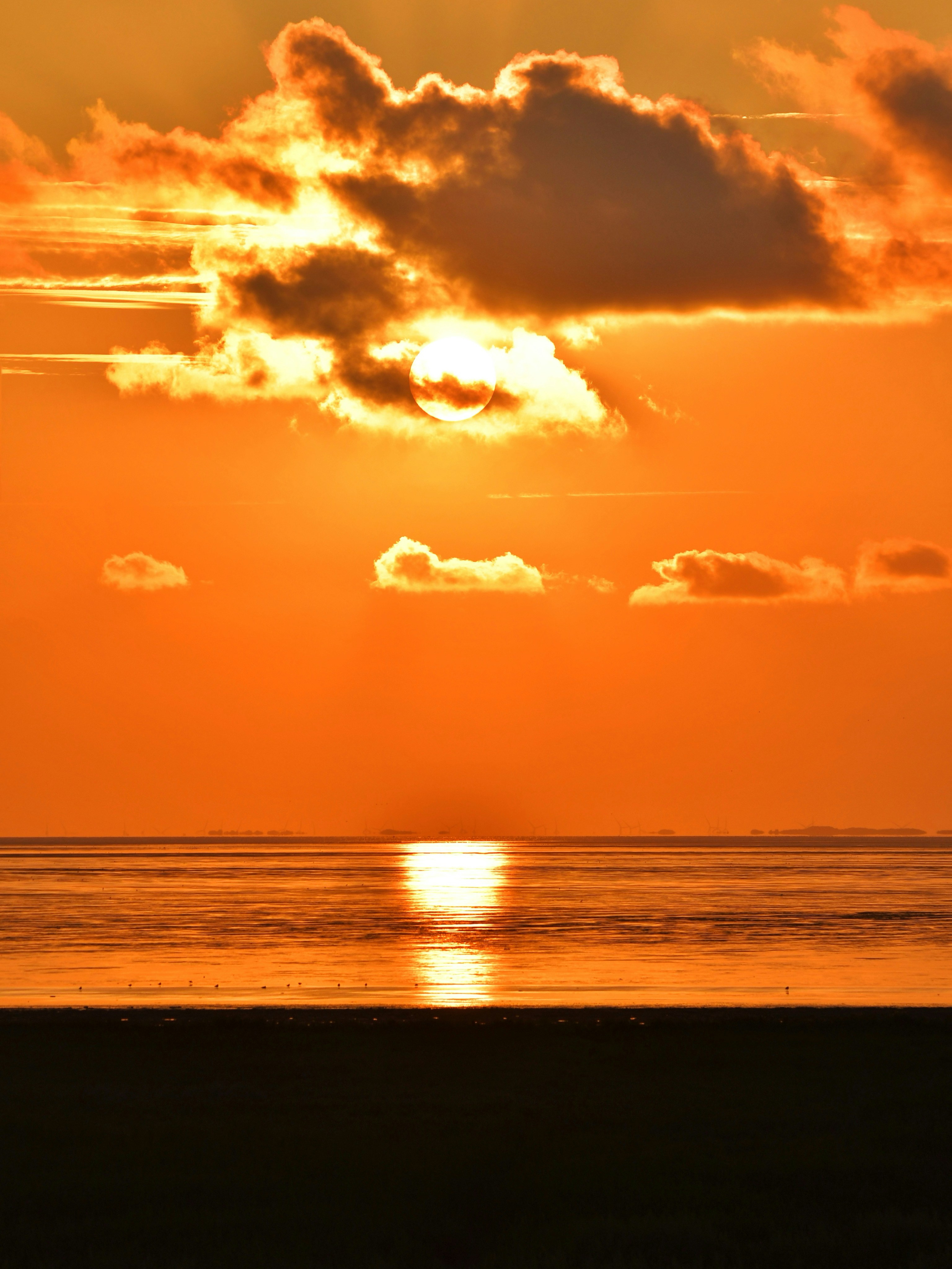 Photo by pedrino5_official