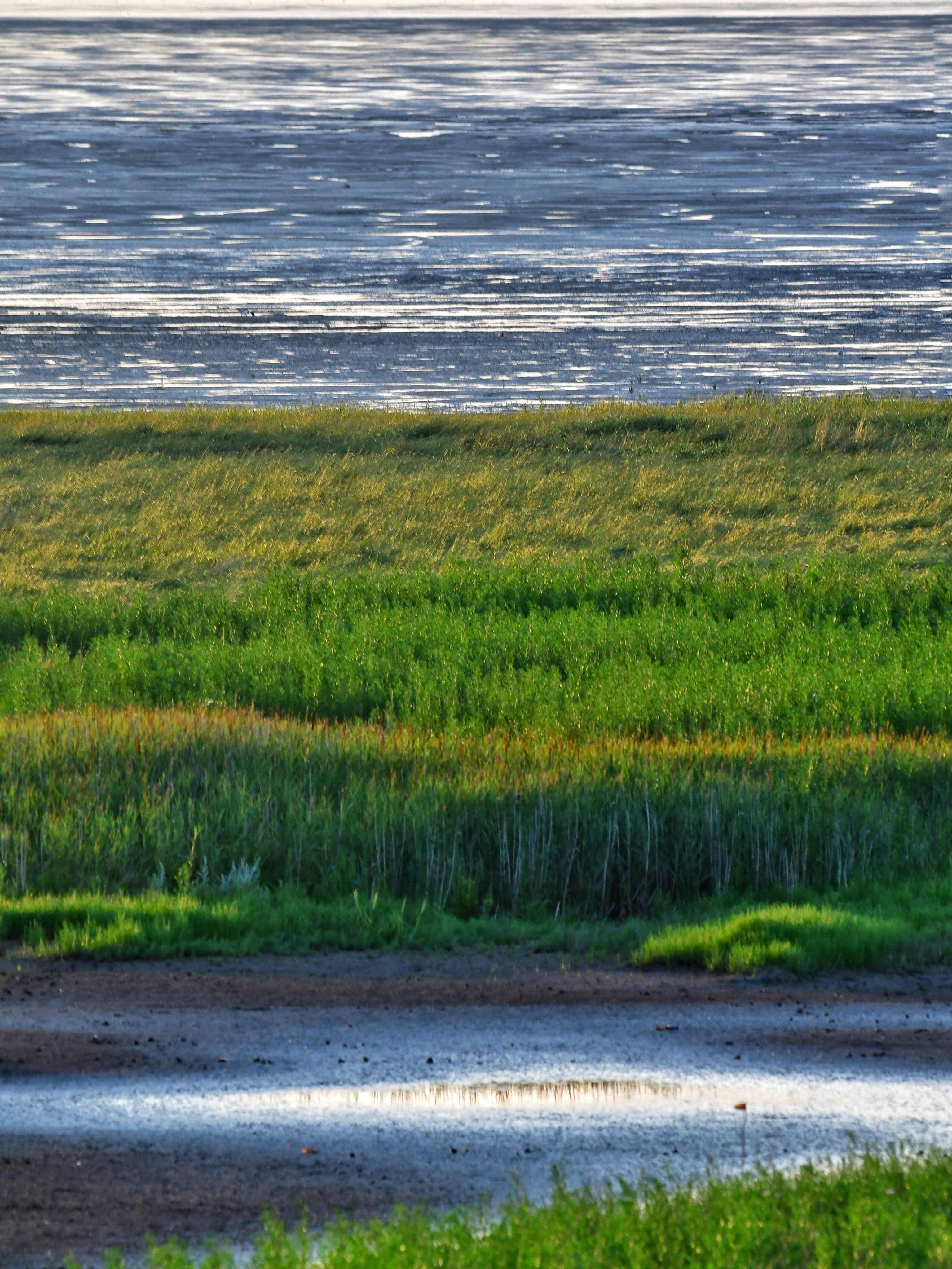 Photo by pedrino5_official