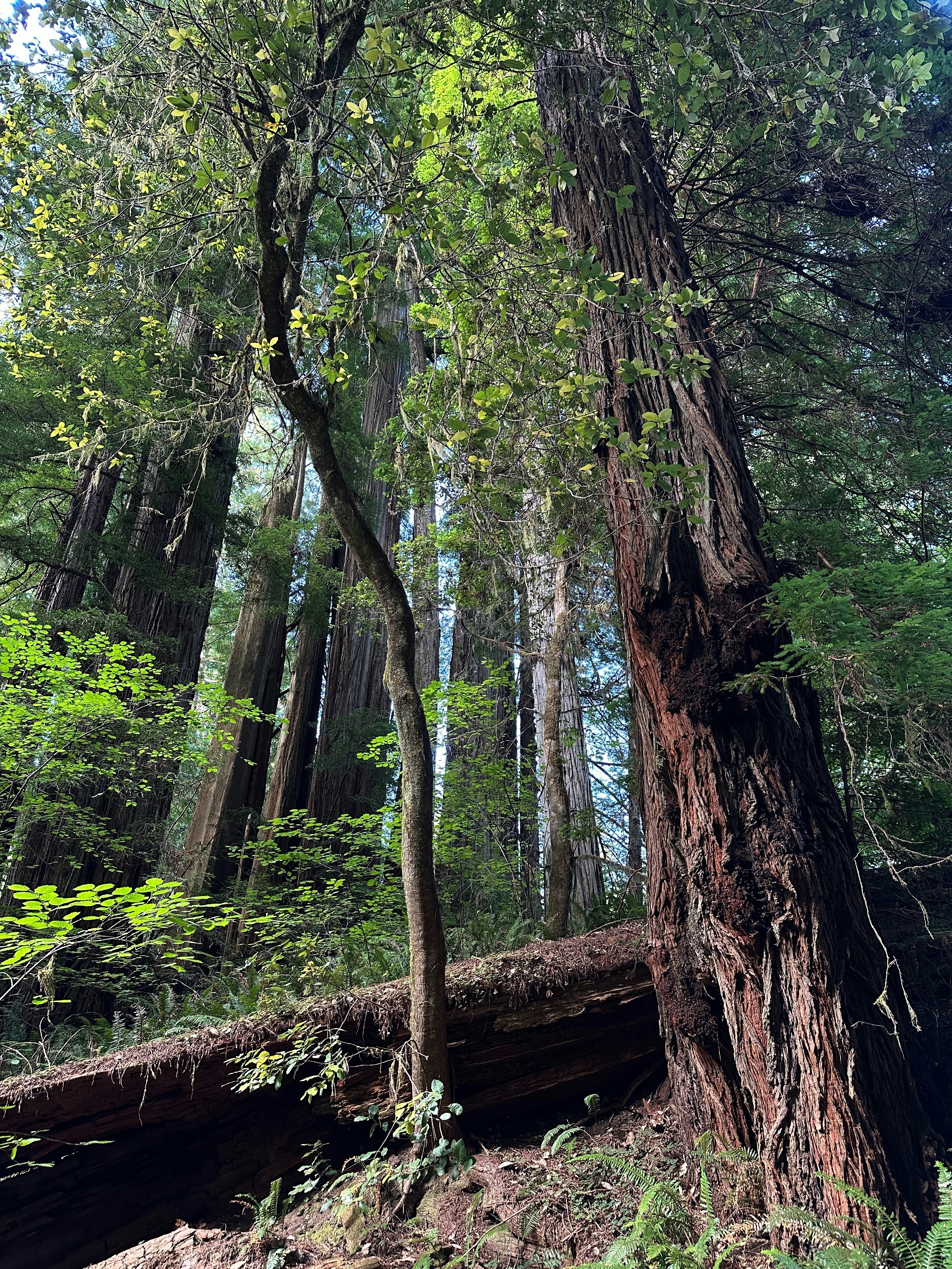 Photo by nickdepartee