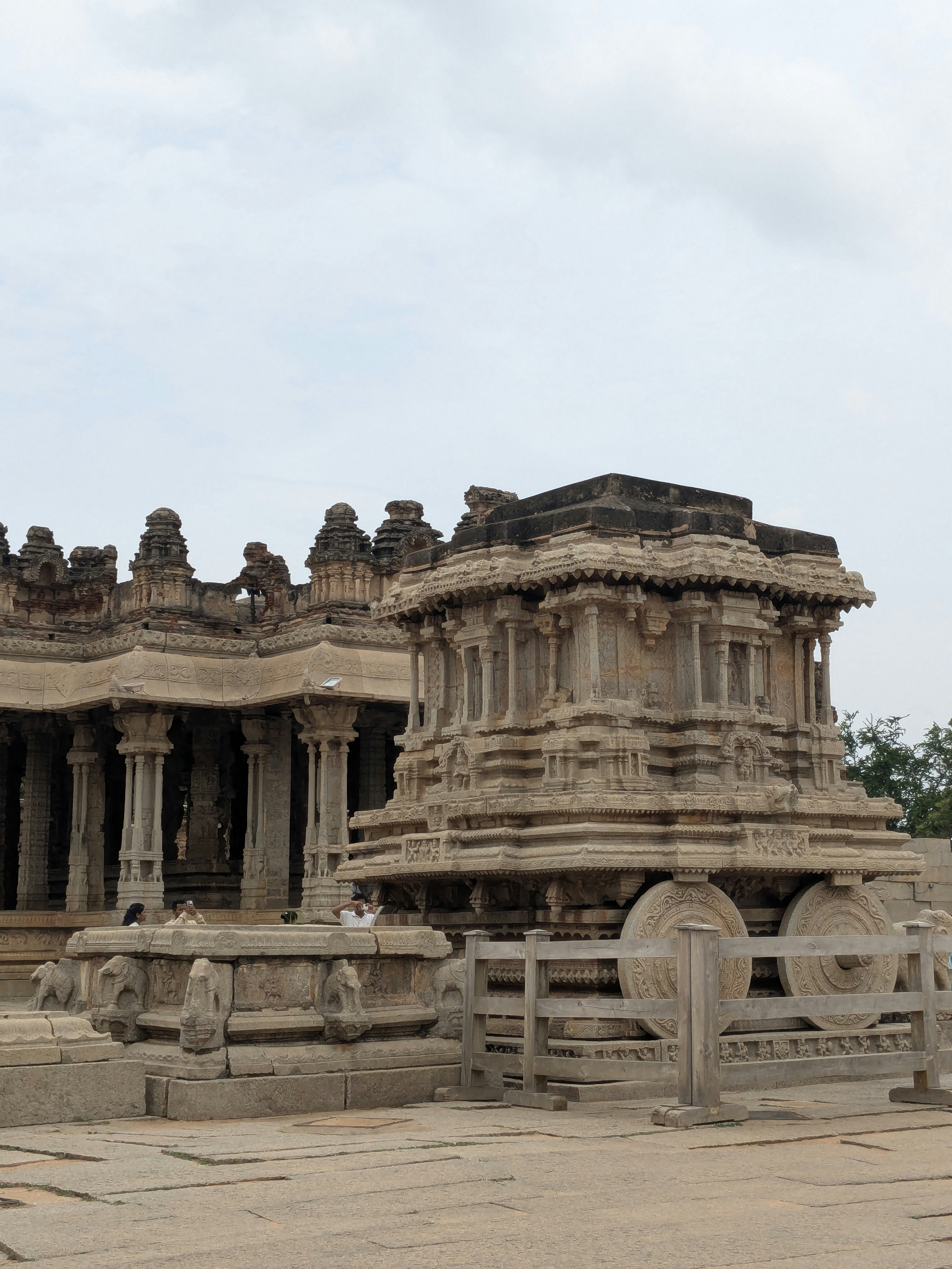 Divya S (@divyas_1001) | Unsplash 사진 커뮤니티