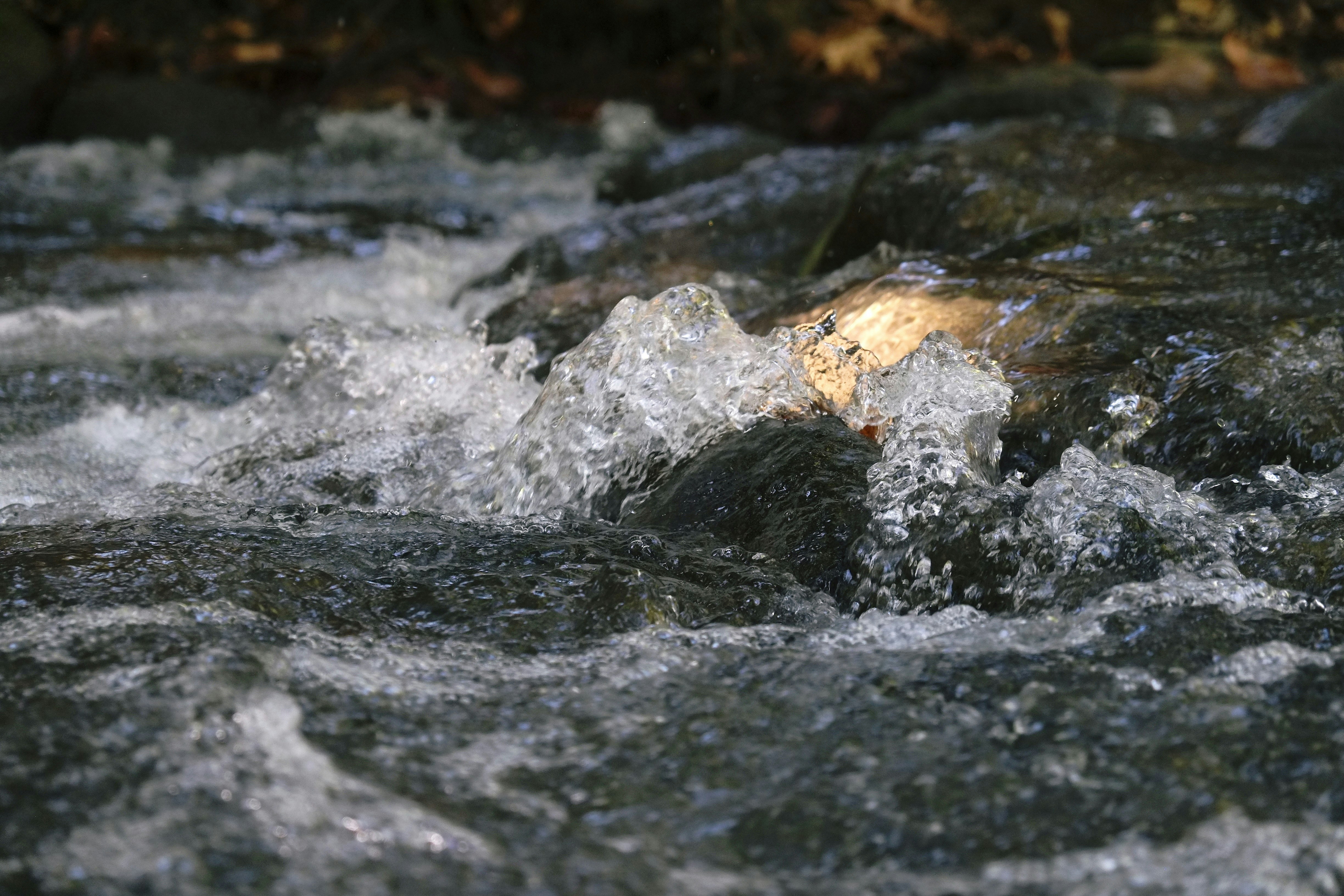 Rushing water flows over rocks in a stream.