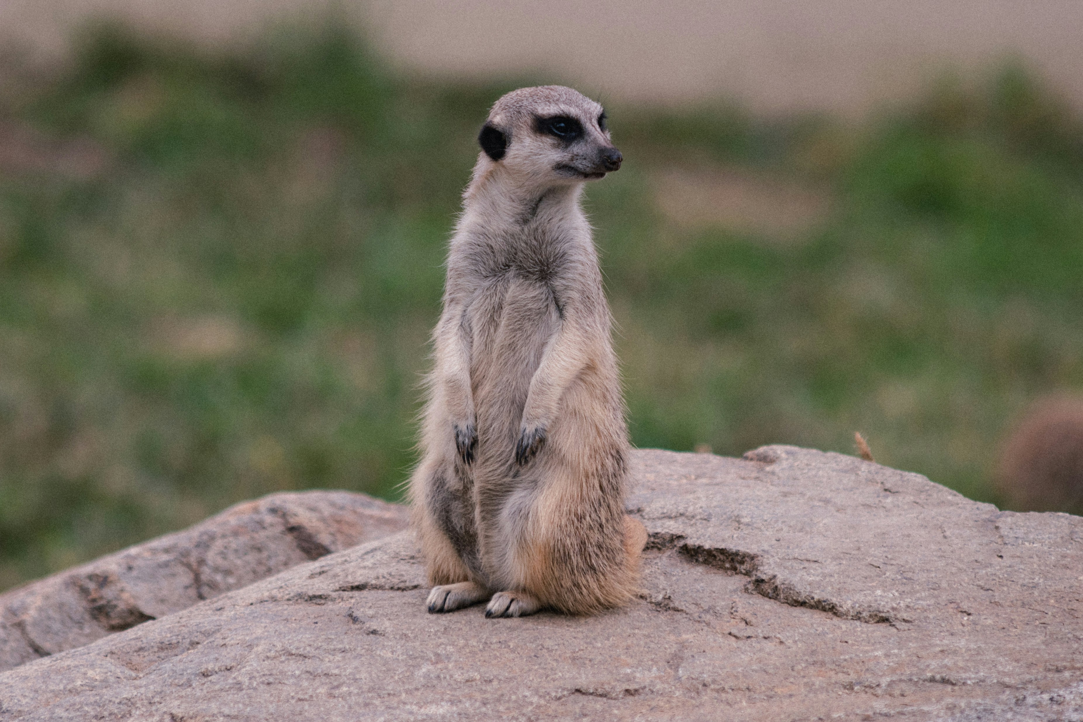 Photo by asuki_photo