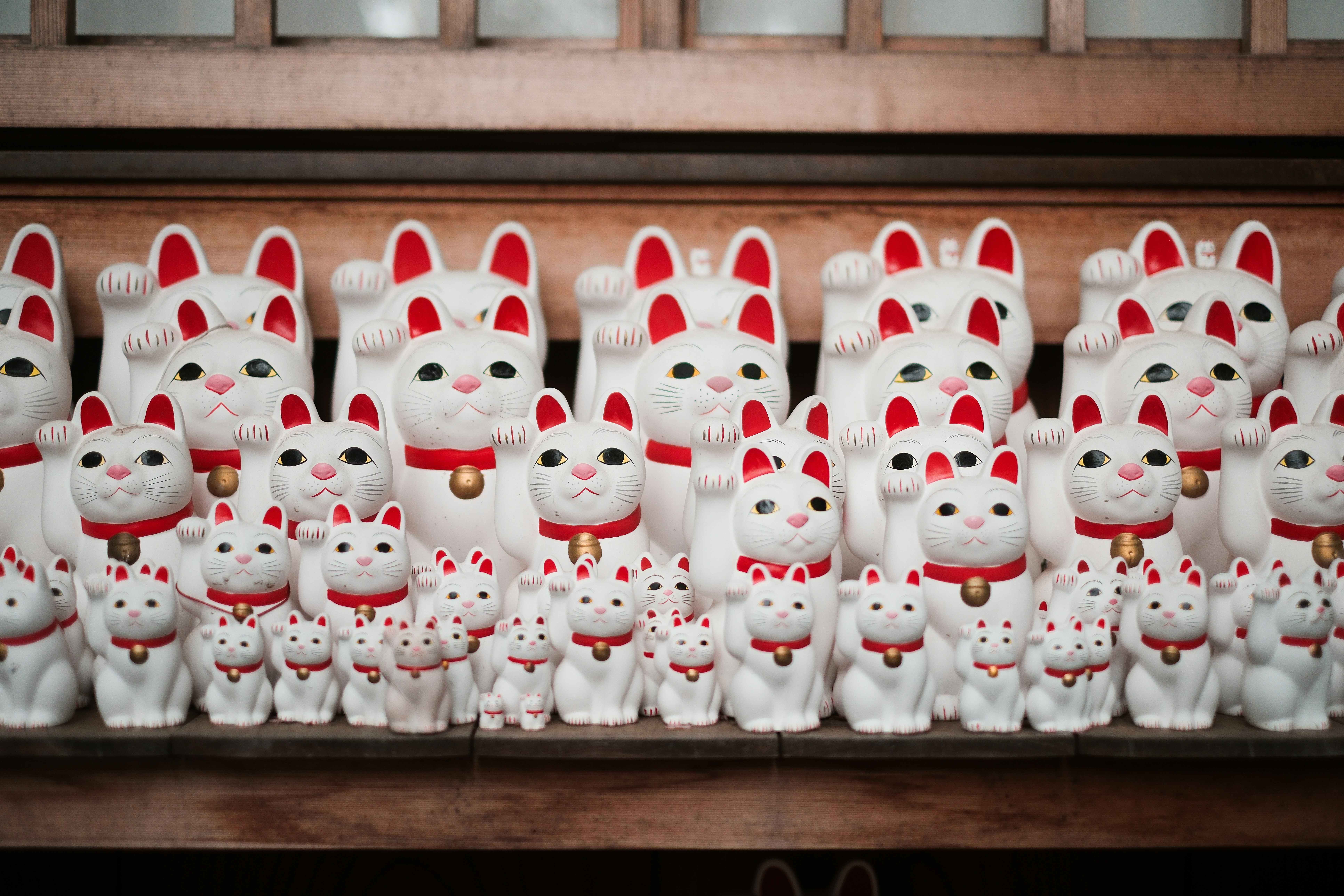 Viele Maneki Neko Figuren versammelten sich.