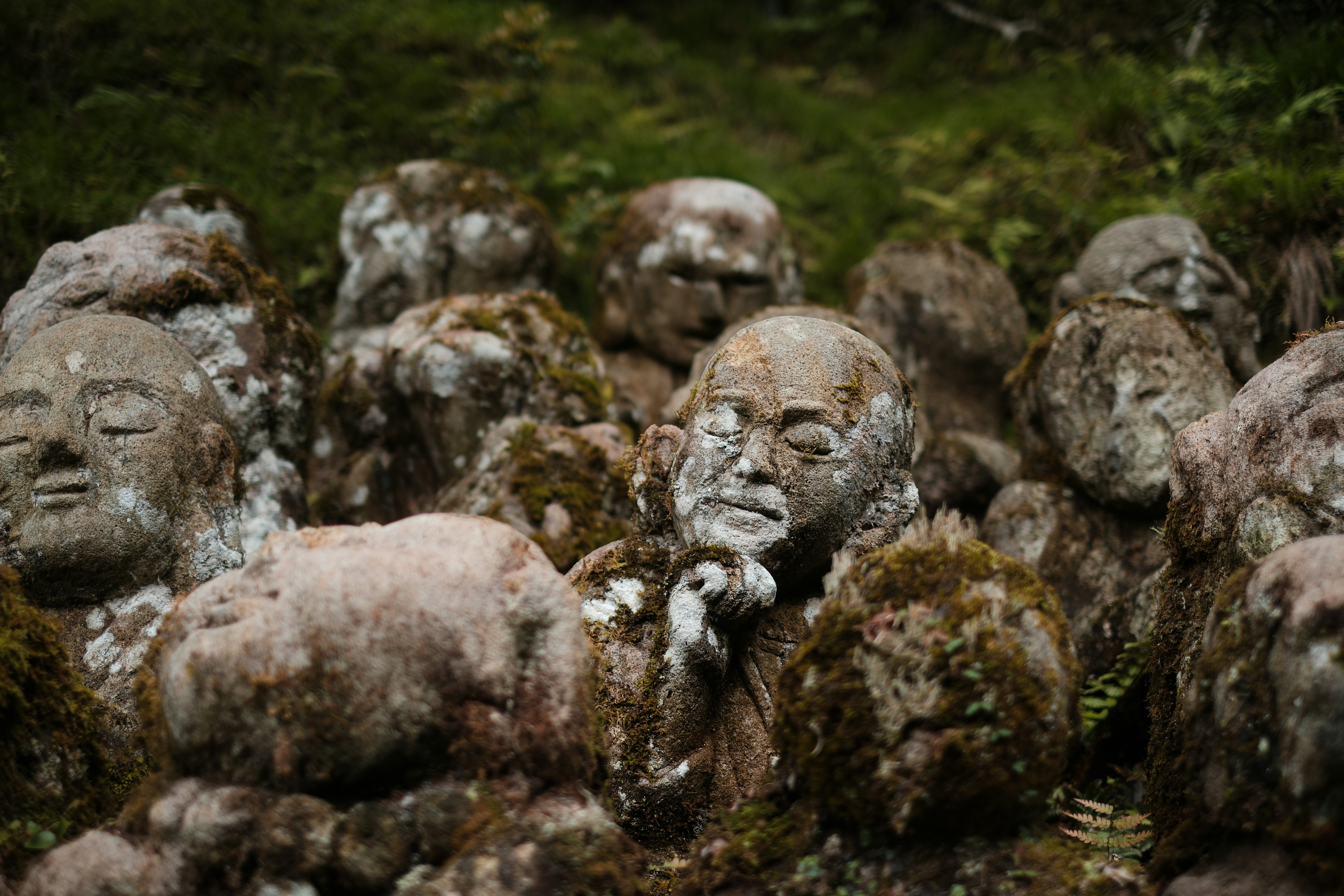 Steinerne Buddhas sind mit Moos und Grün bedeckt.