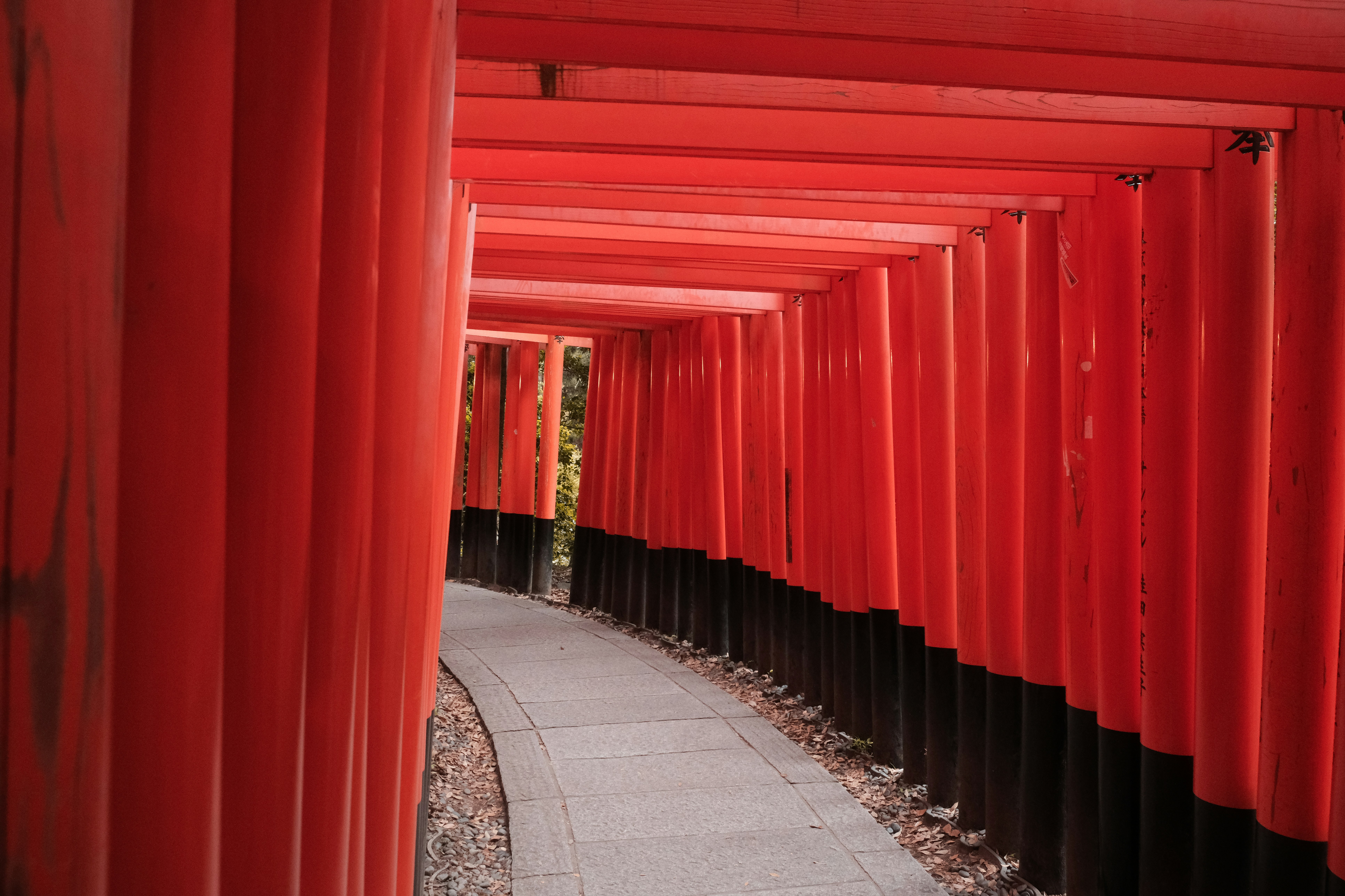 Ein Korridor aus roten Torii-Toren in Japan.