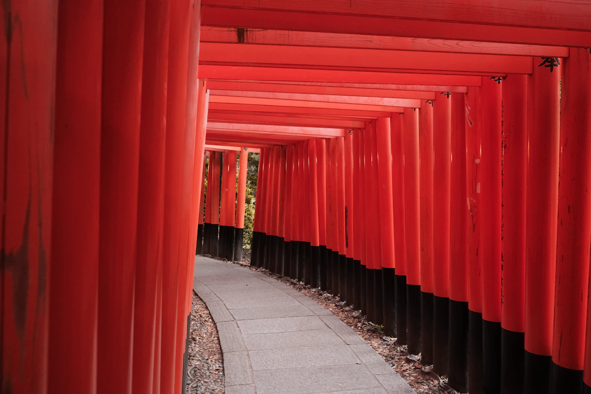 Fushimi Inari torii gates empty early morning 5am Kyoto