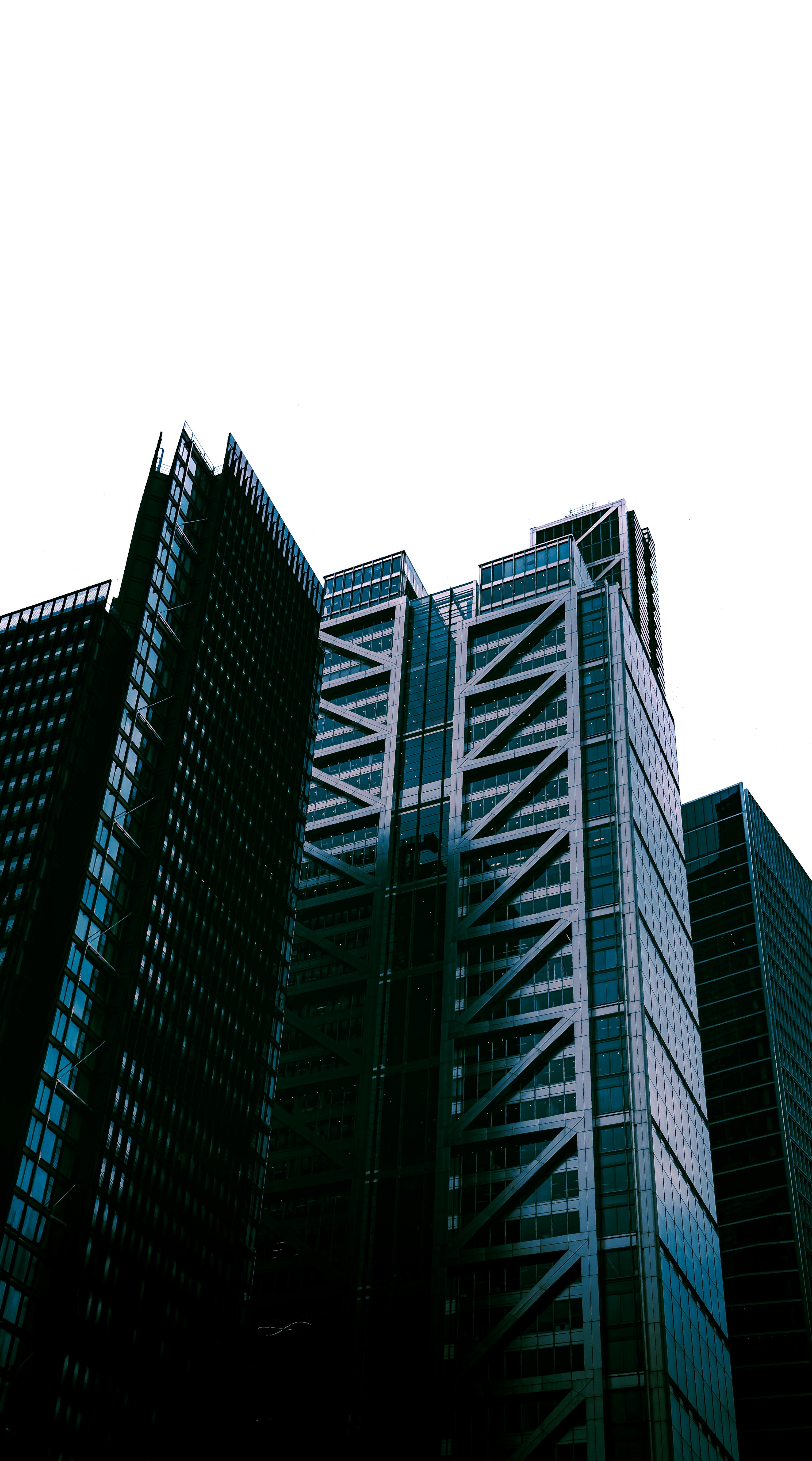 Photo by humansmadethis