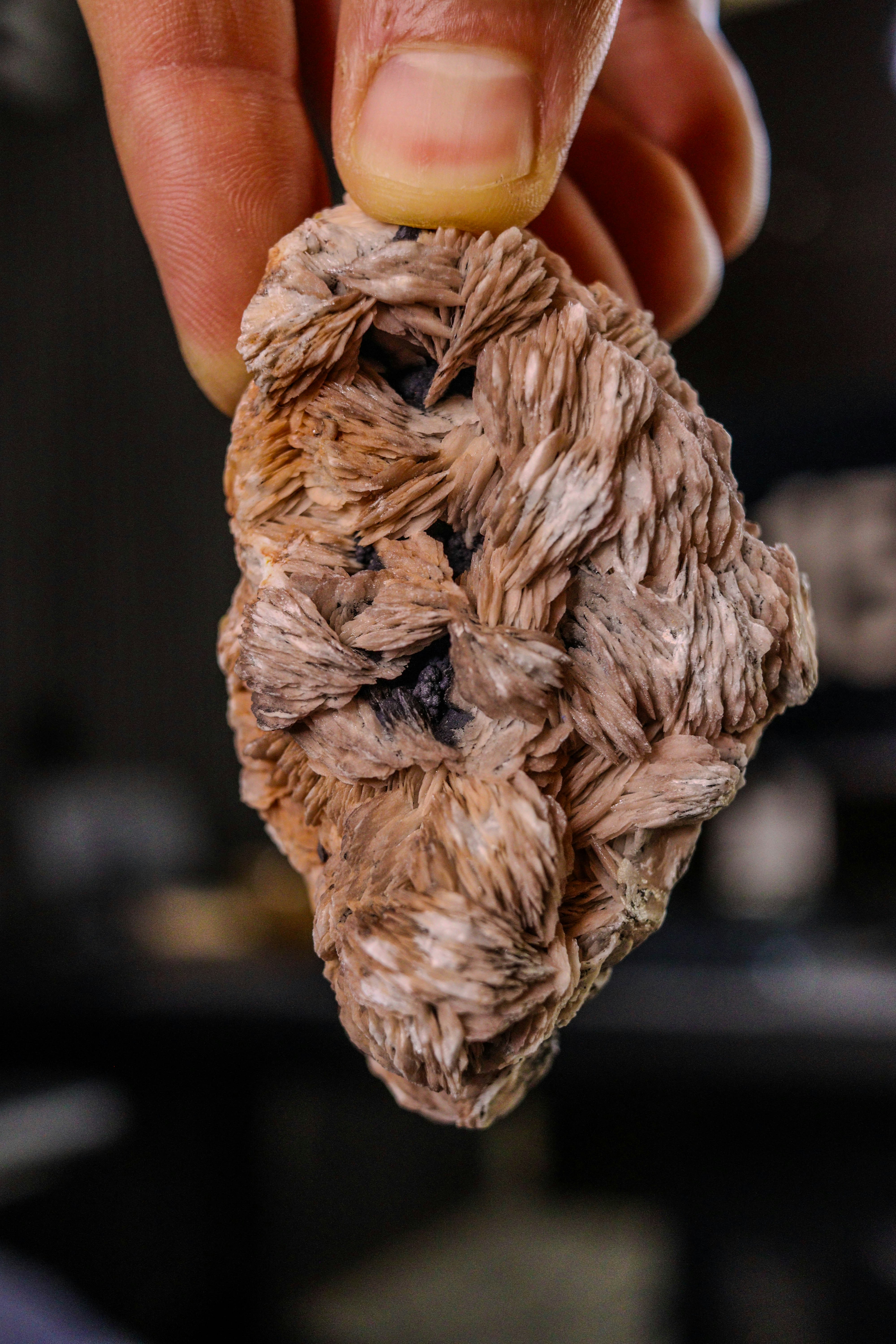 A hand holds a beautiful, textured rock