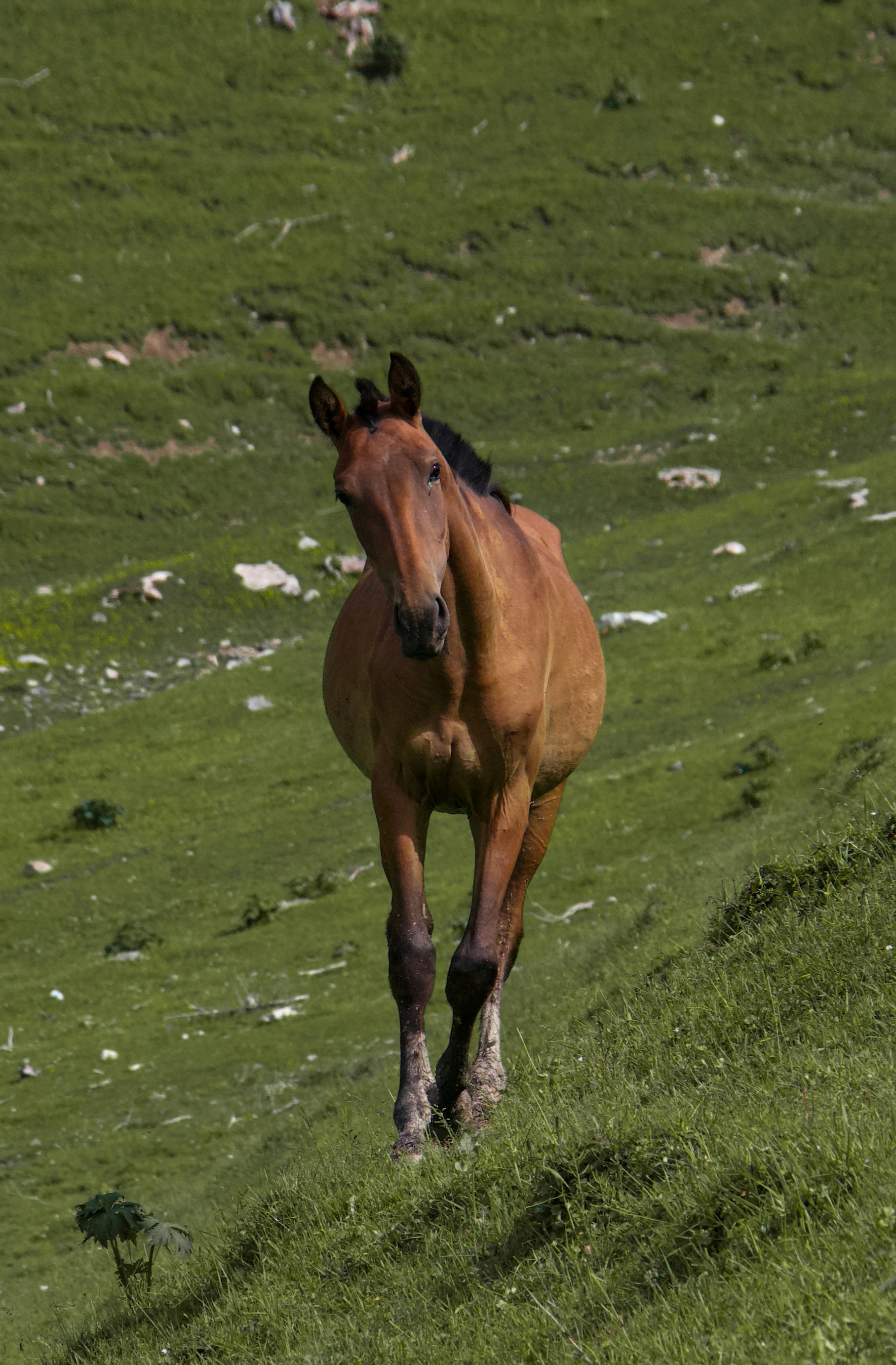 Photo by maro_of_sengu