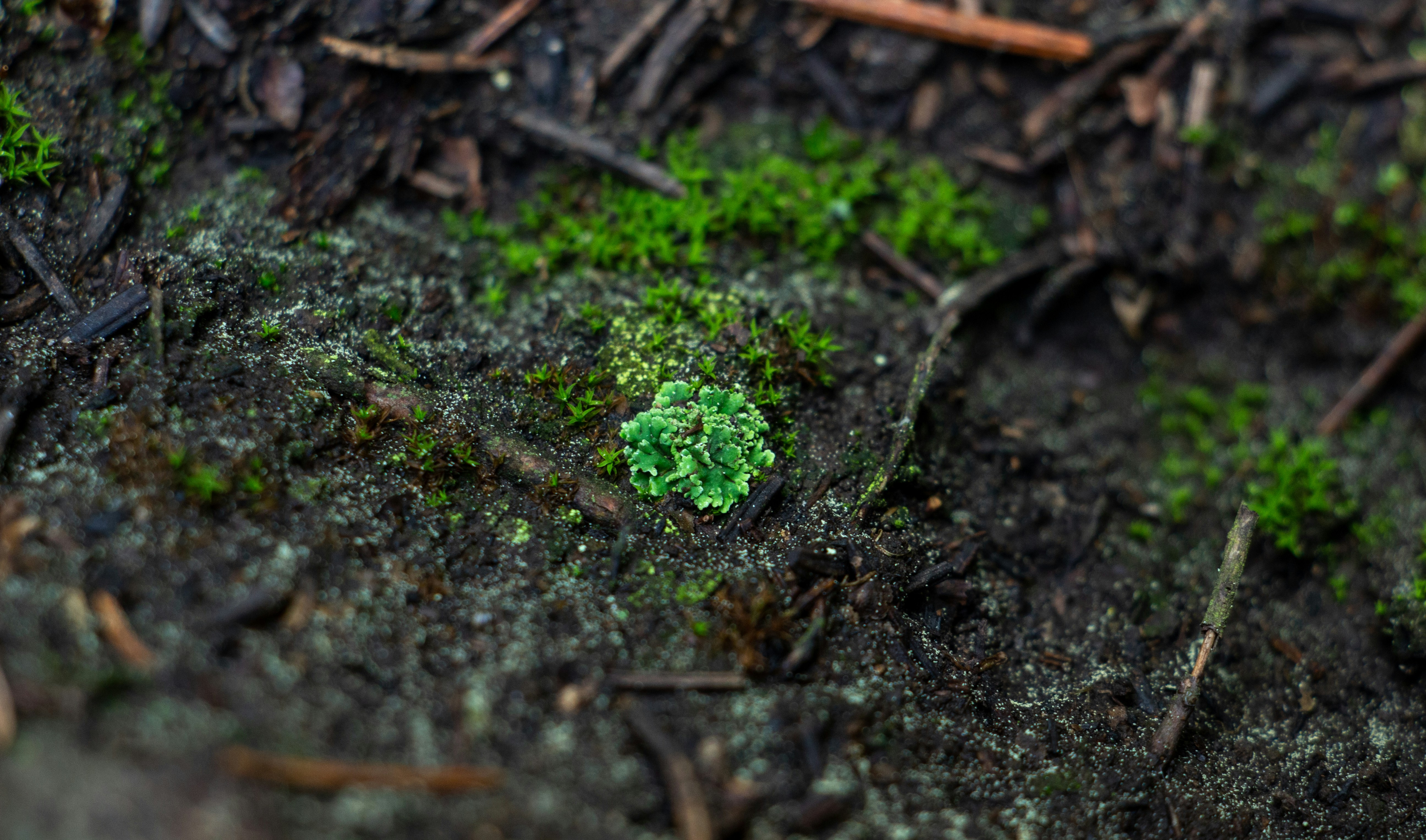 Photo by maro_of_sengu