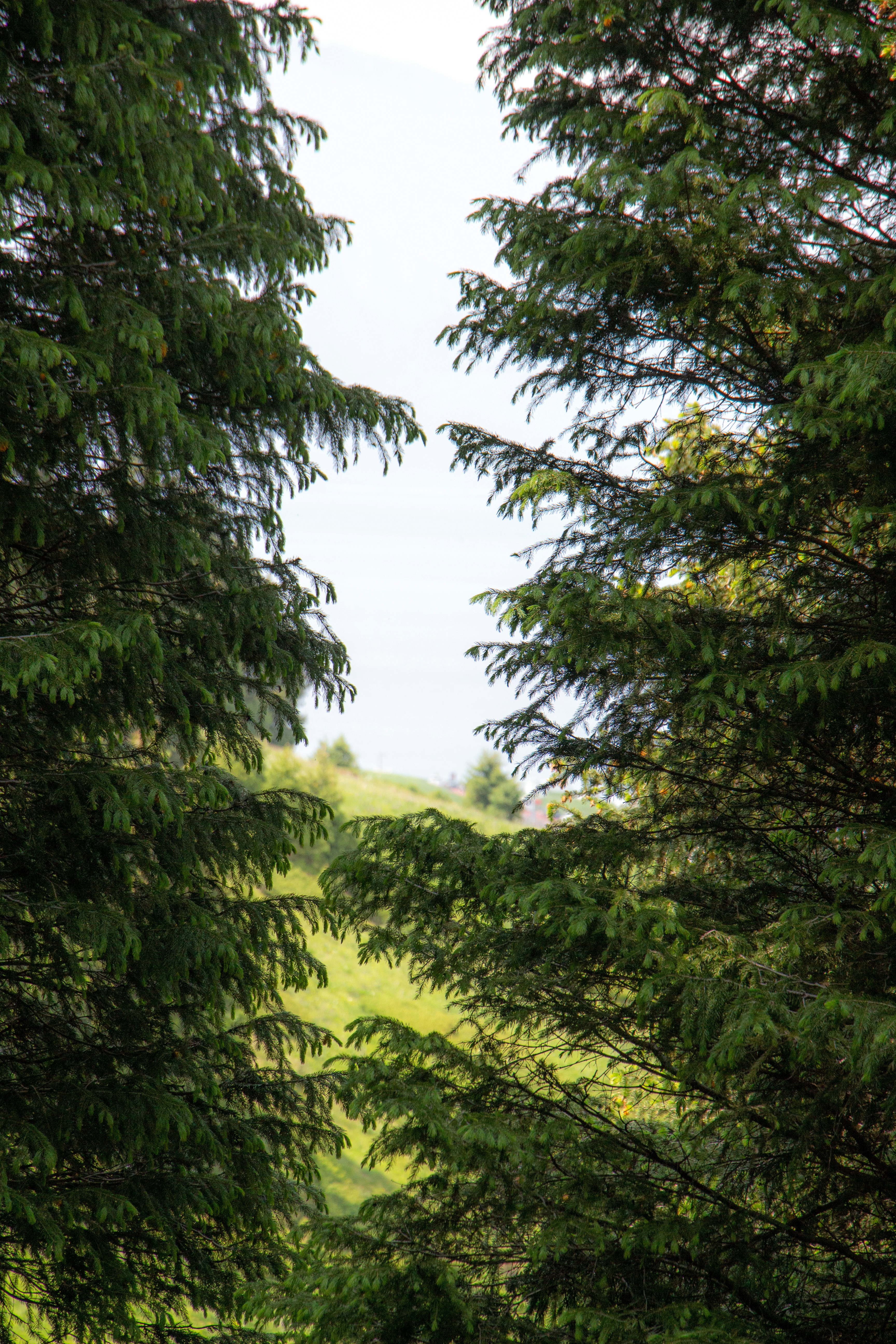 Photo by maro_of_sengu