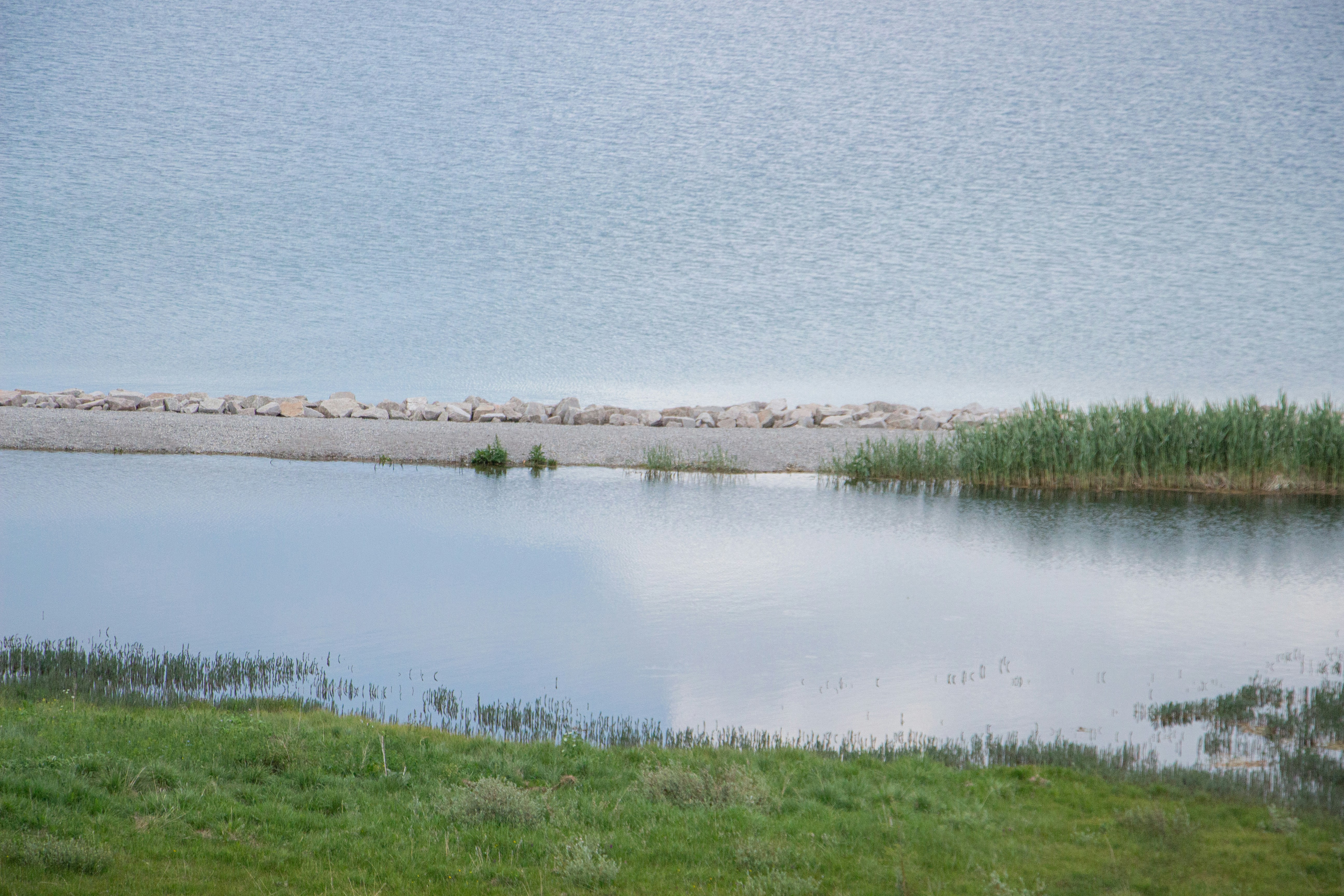 Photo by maro_of_sengu