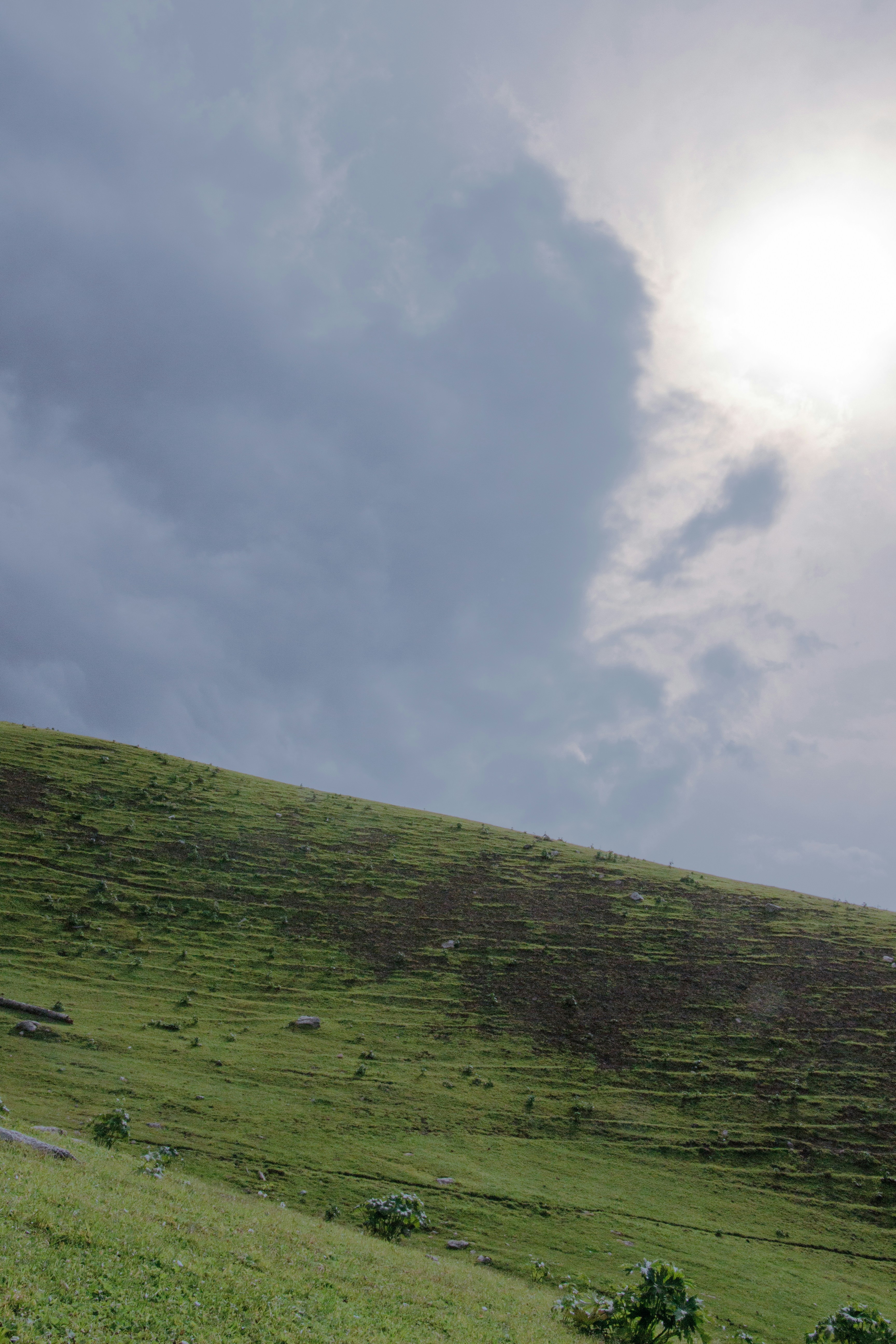 Photo by maro_of_sengu