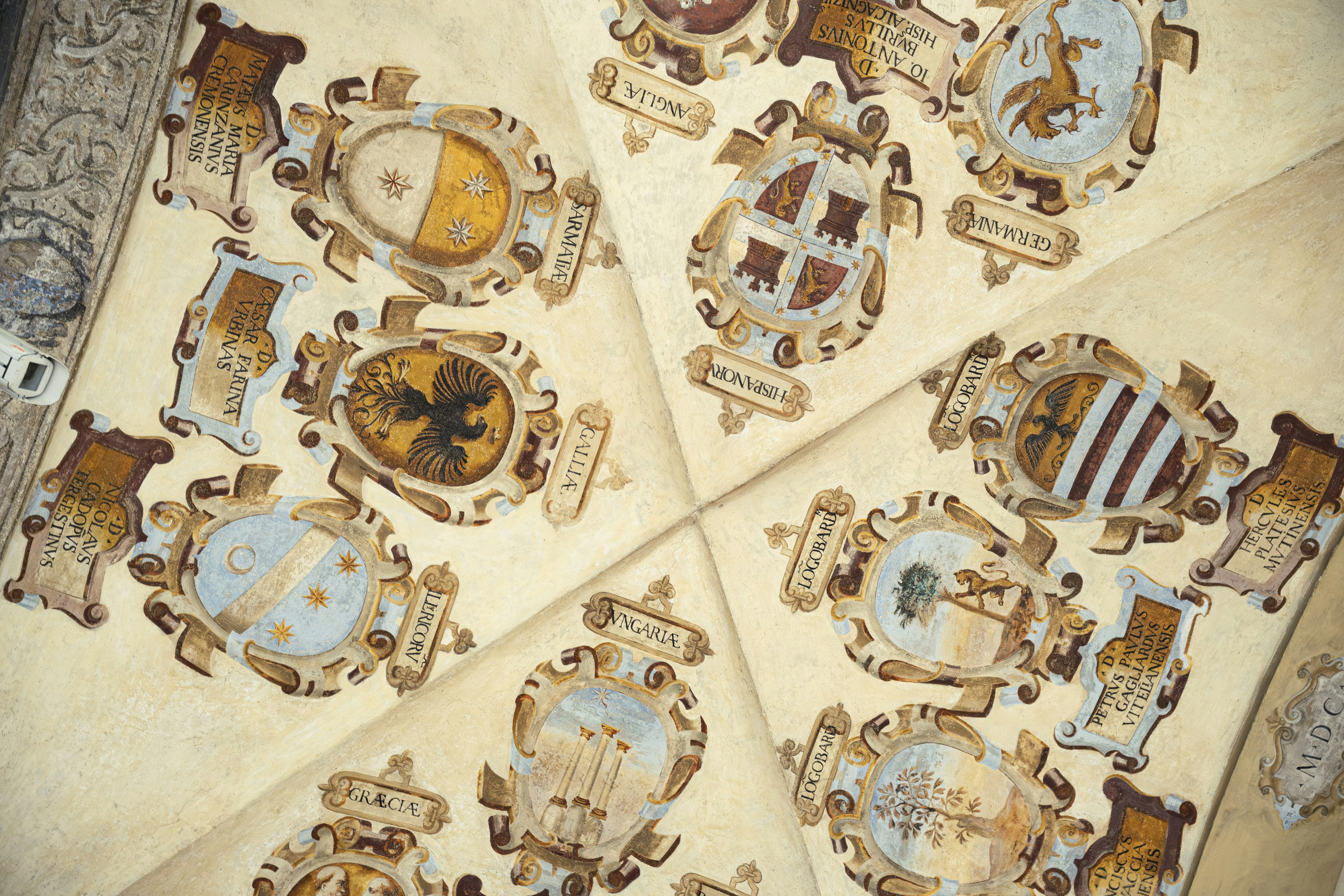 Techo decorado con varios escudos de armas. foto – Imagen de Arte gratuita  en Unsplash, image size:3000x2000