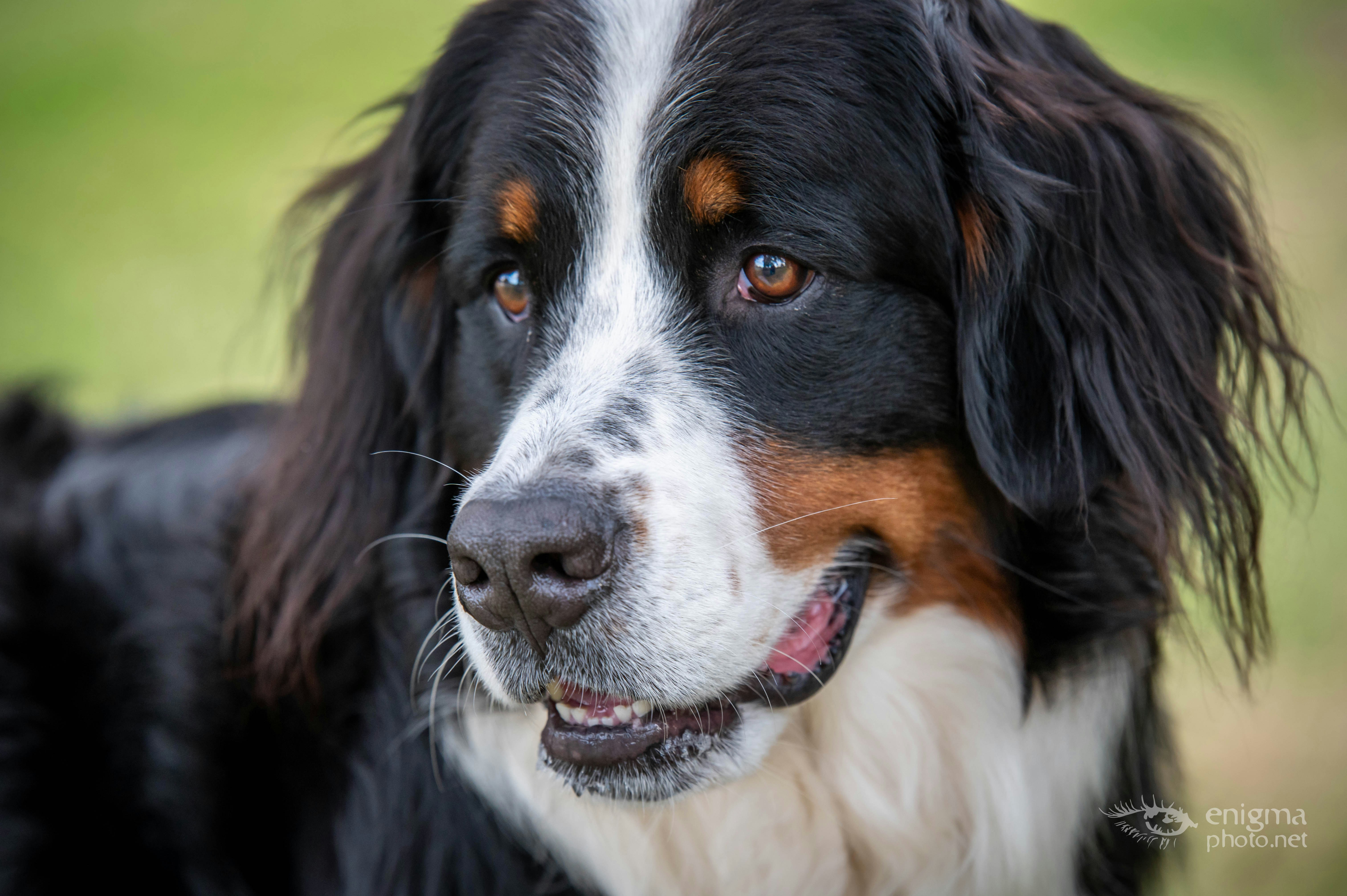 Photo by rebecca97132