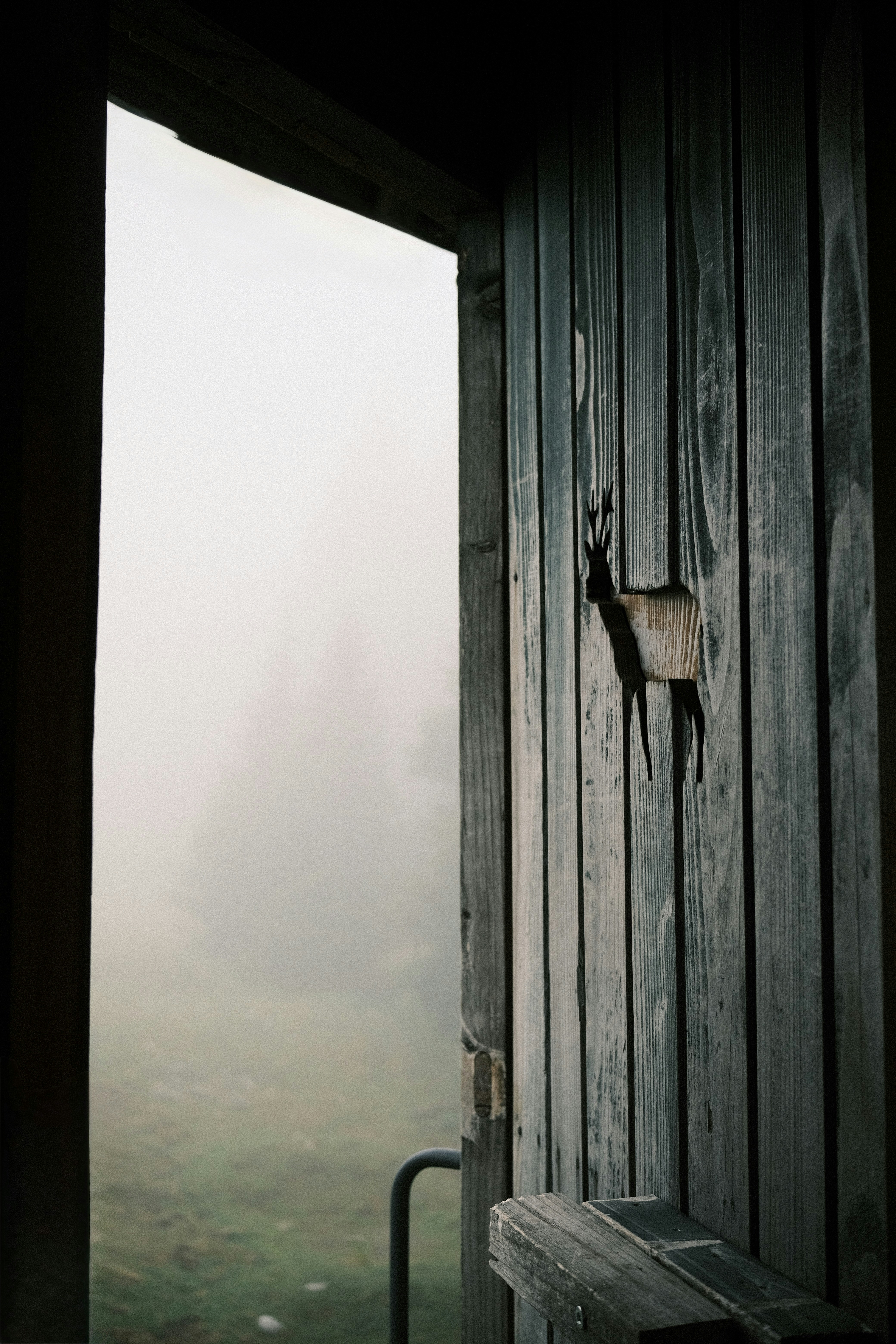 Photo by niklasjesper