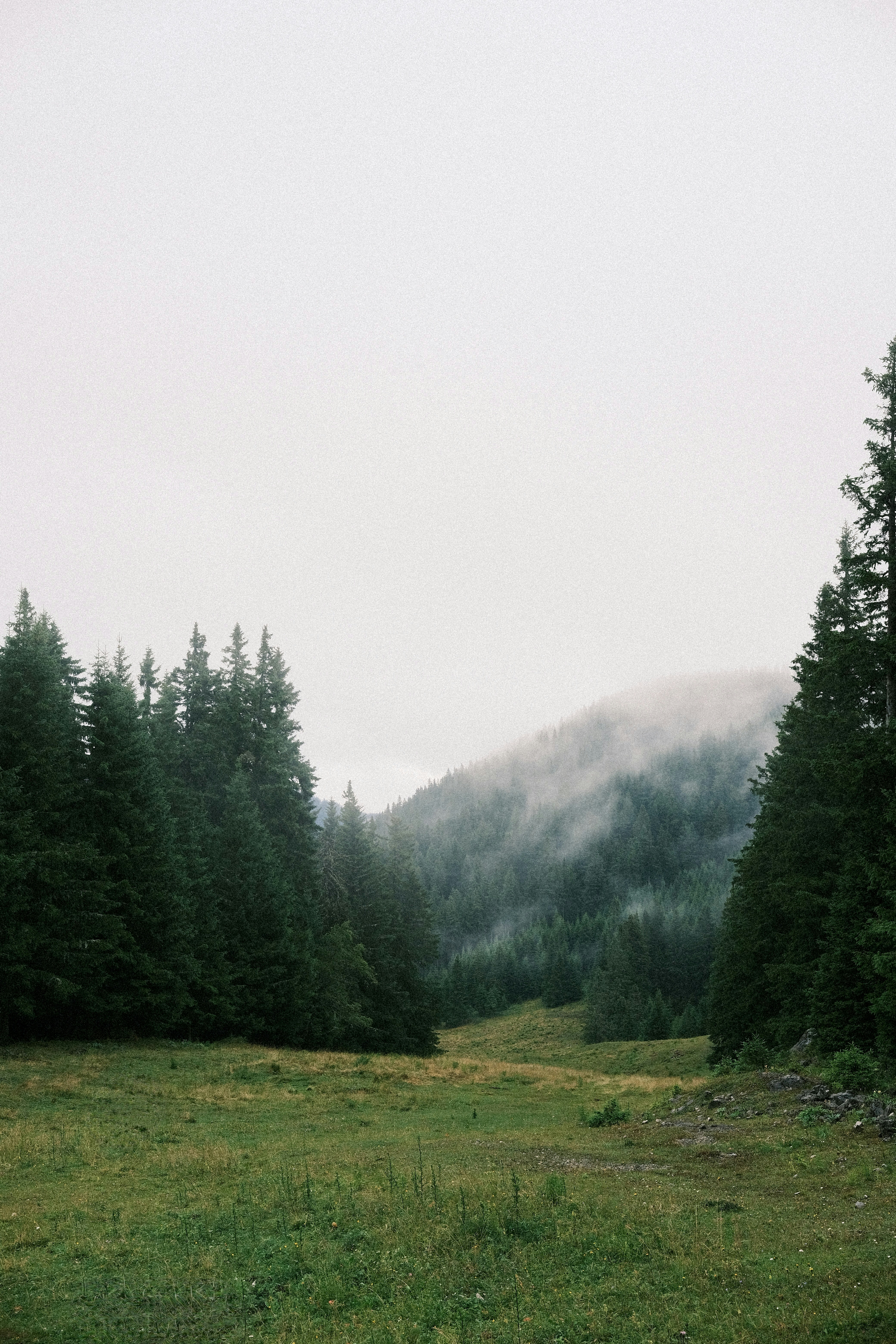 Photo by niklasjesper