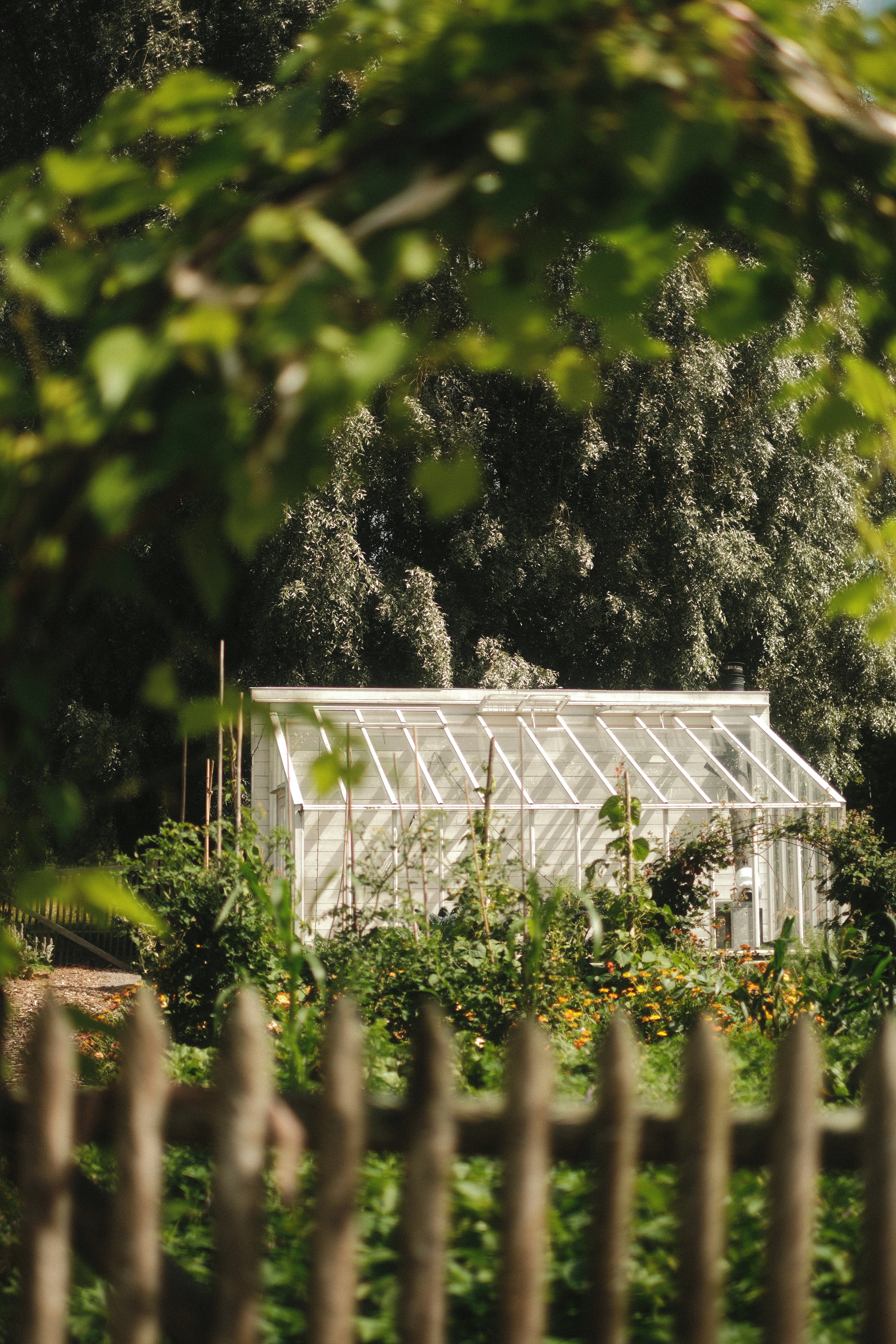 Photo by ginkgoshutter