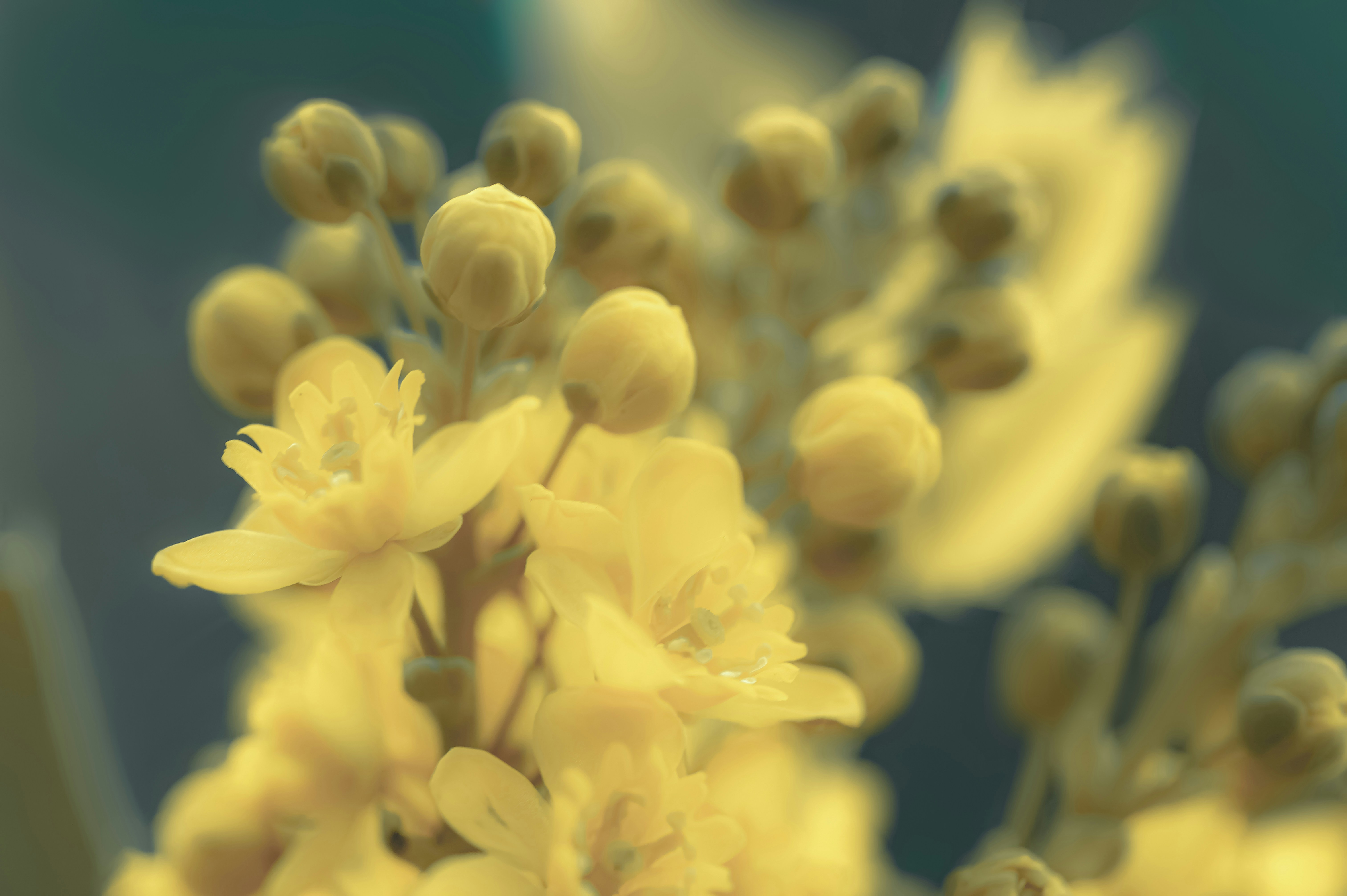 Photo by volodymyr_leush