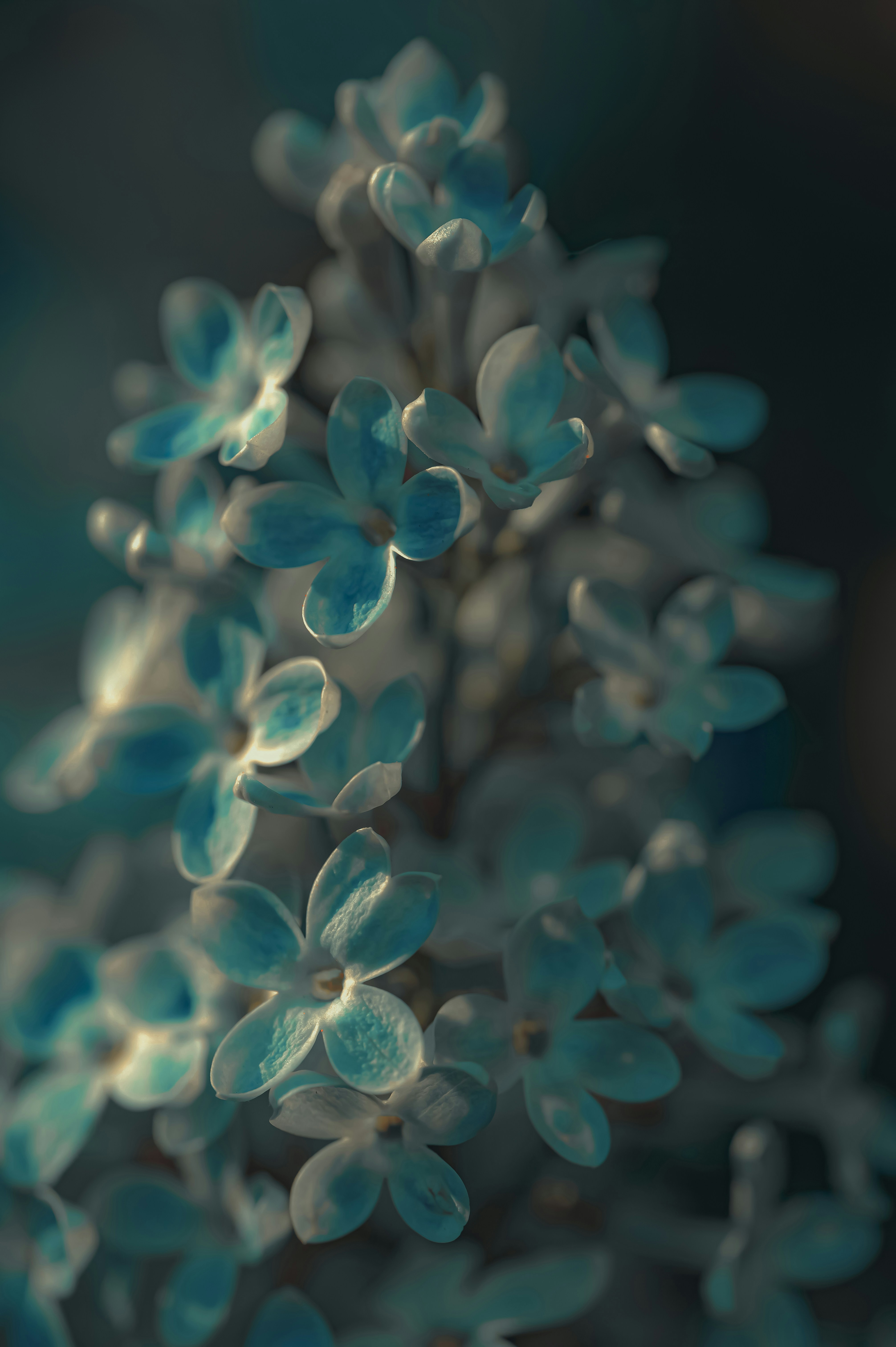 Photo by volodymyr_leush