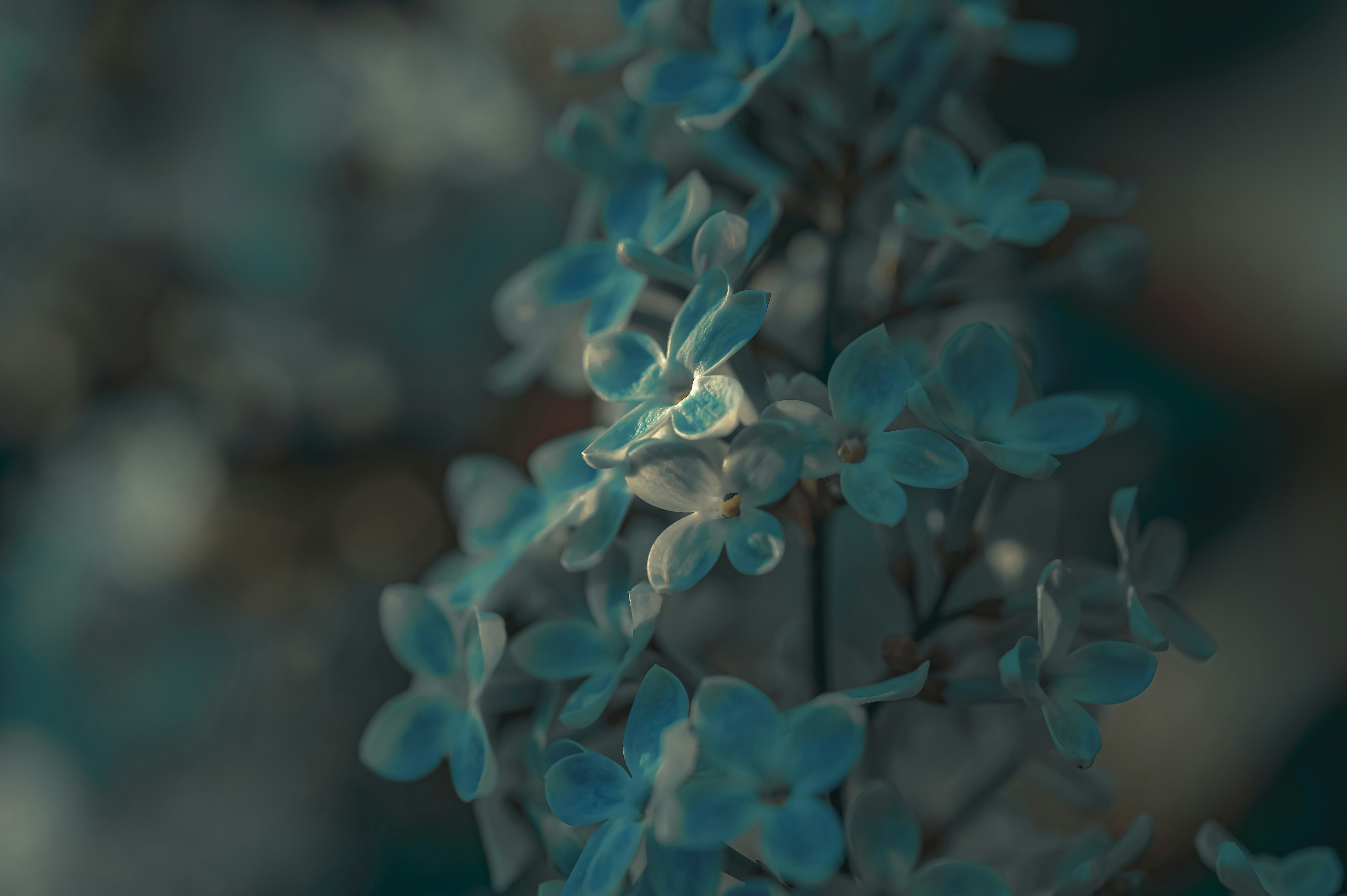 Photo by volodymyr_leush