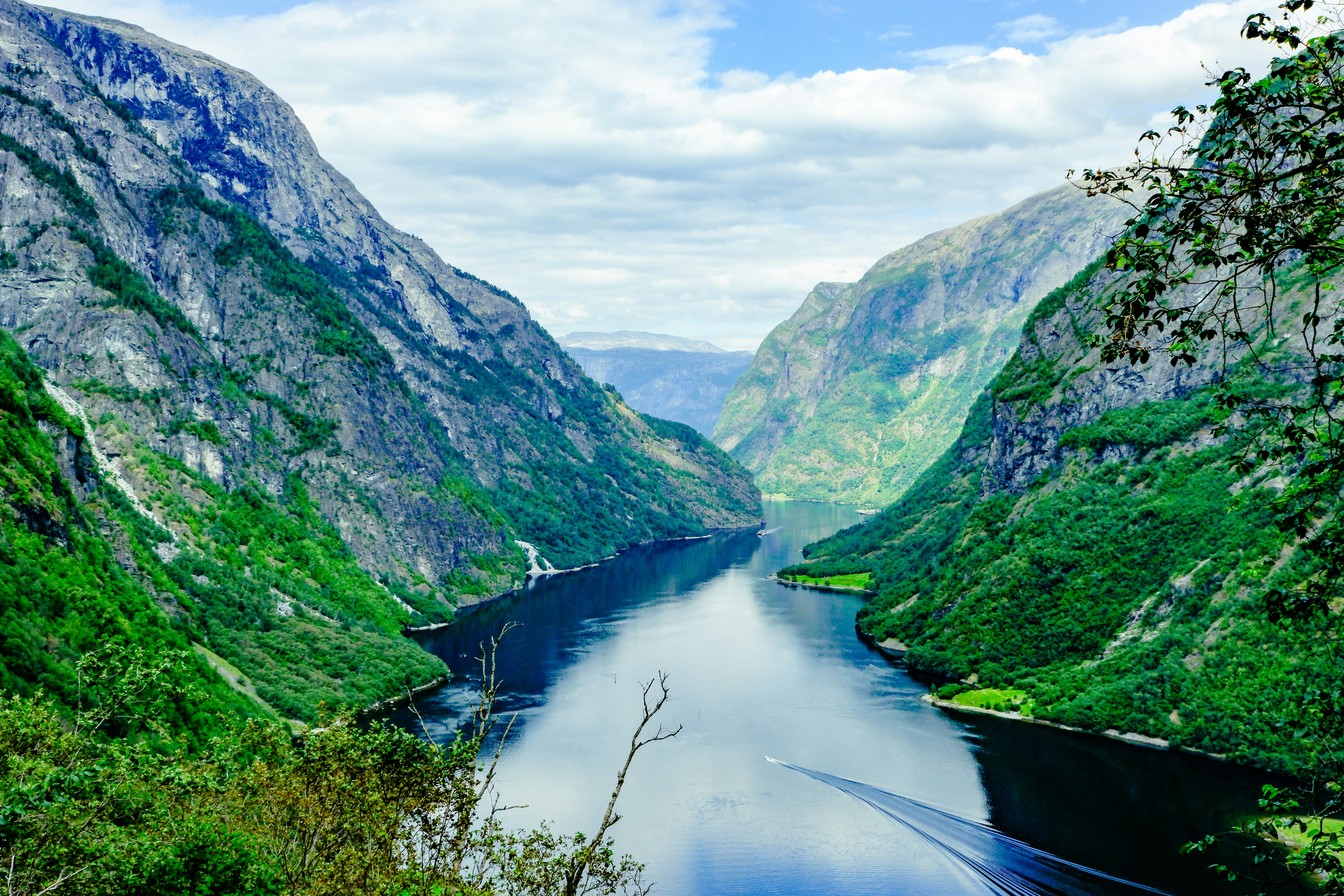 Photo by cestmoisheedy