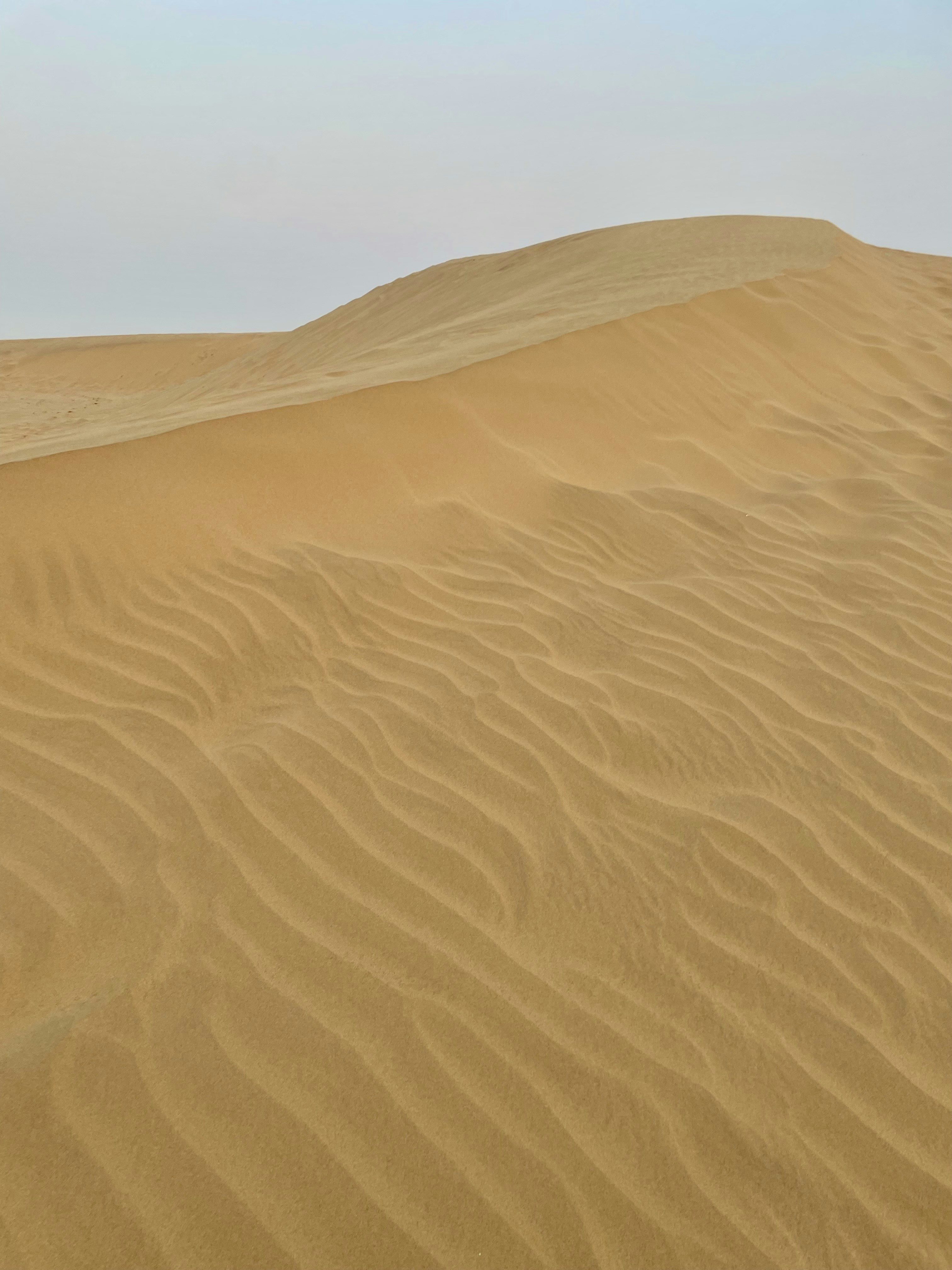 Le dune di sabbia si estendono su un vasto paesaggio desertico.