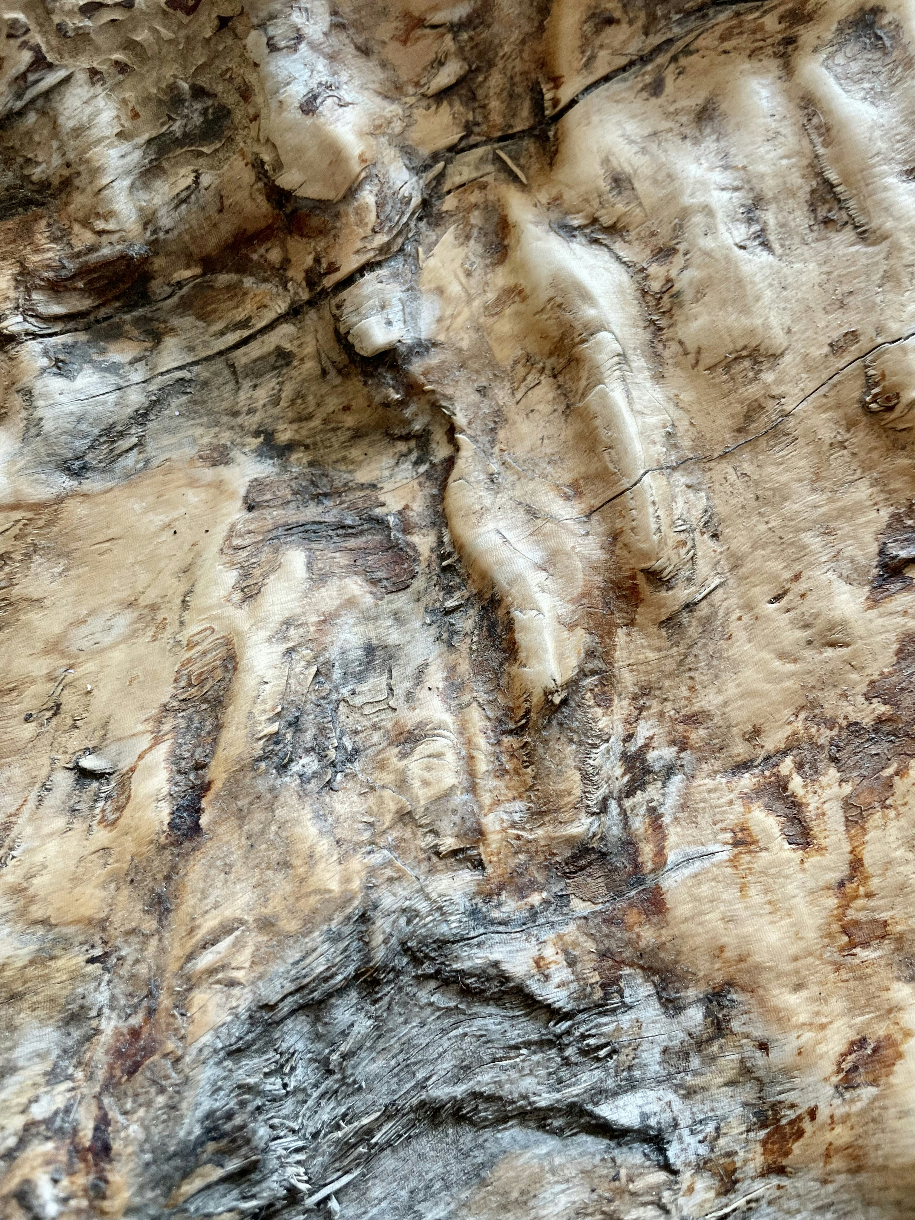 Ecco una didascalia: primo piano di legno stagionato con trame interessanti.