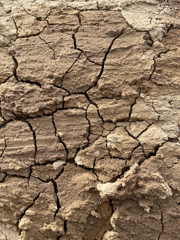 El Niño pode levar 49 milhões à fome, diz ONU hoje (5/8)